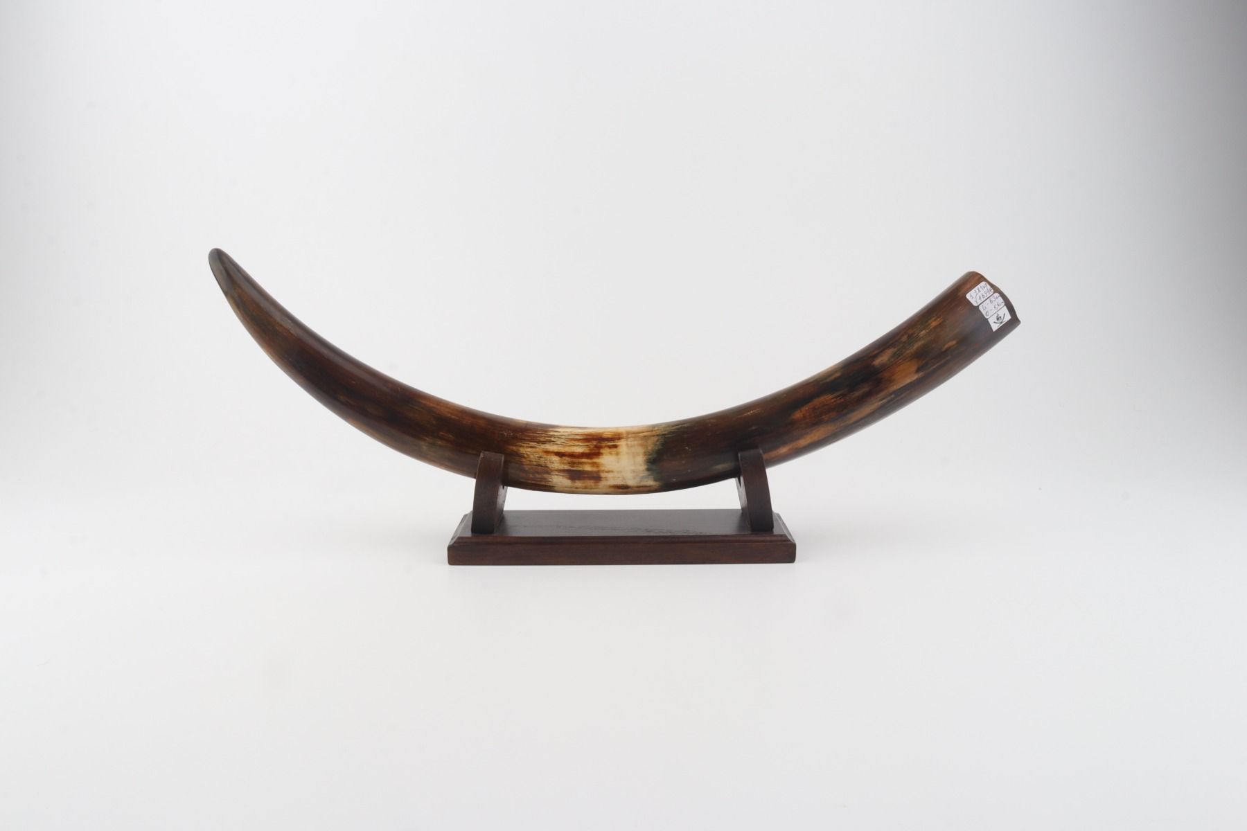Restored woolly mammoth tusk