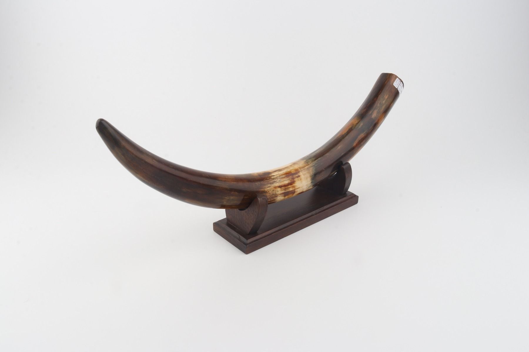 Restored woolly mammoth tusk