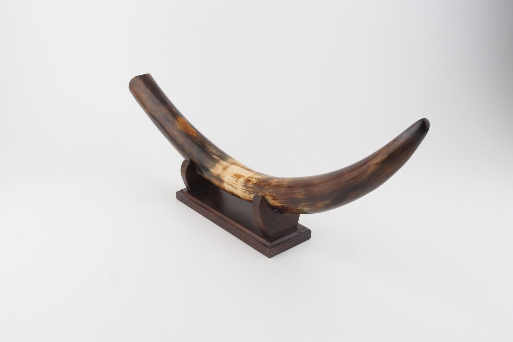 Restored woolly mammoth tusk
