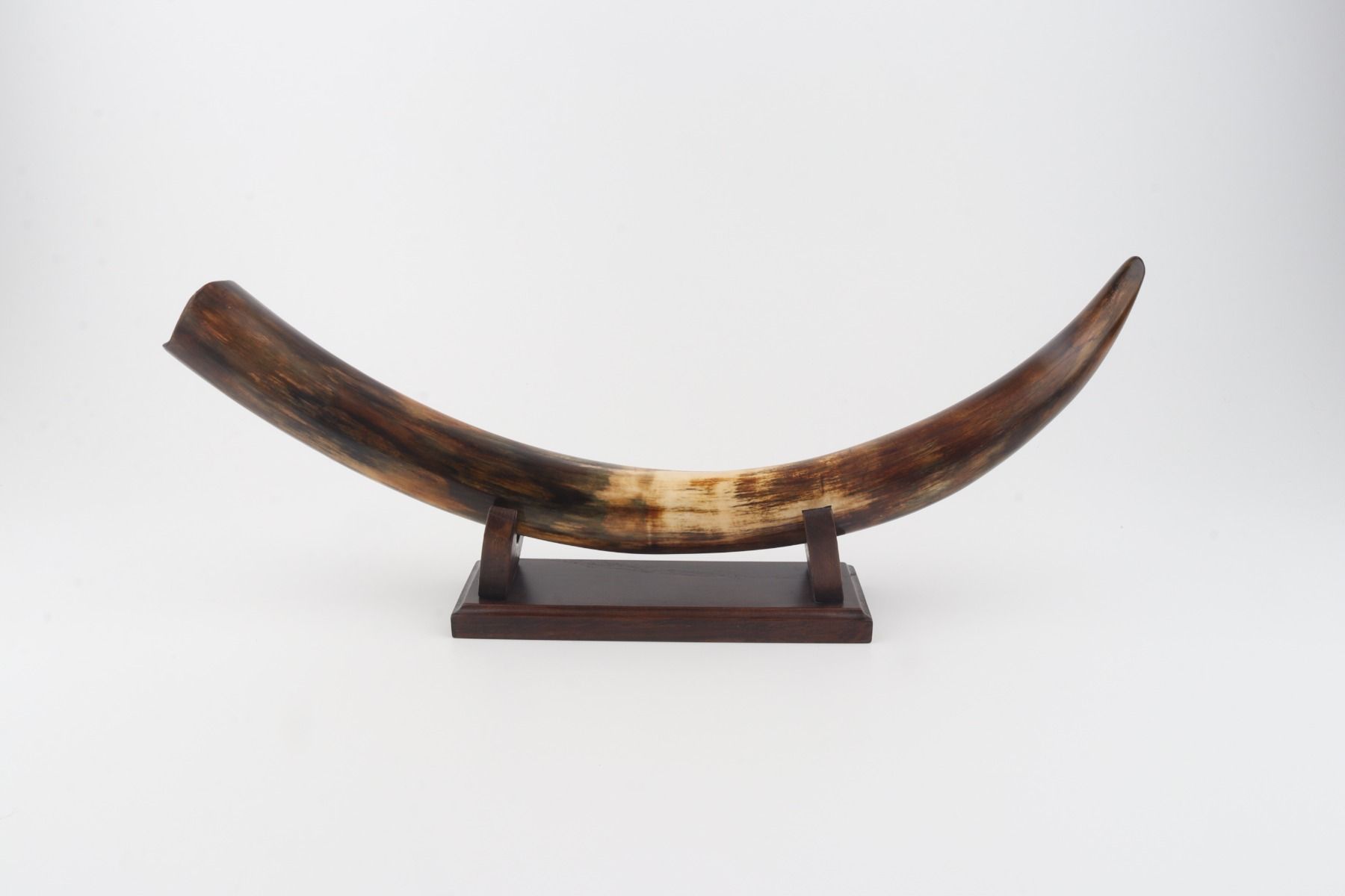 Restored woolly mammoth tusk