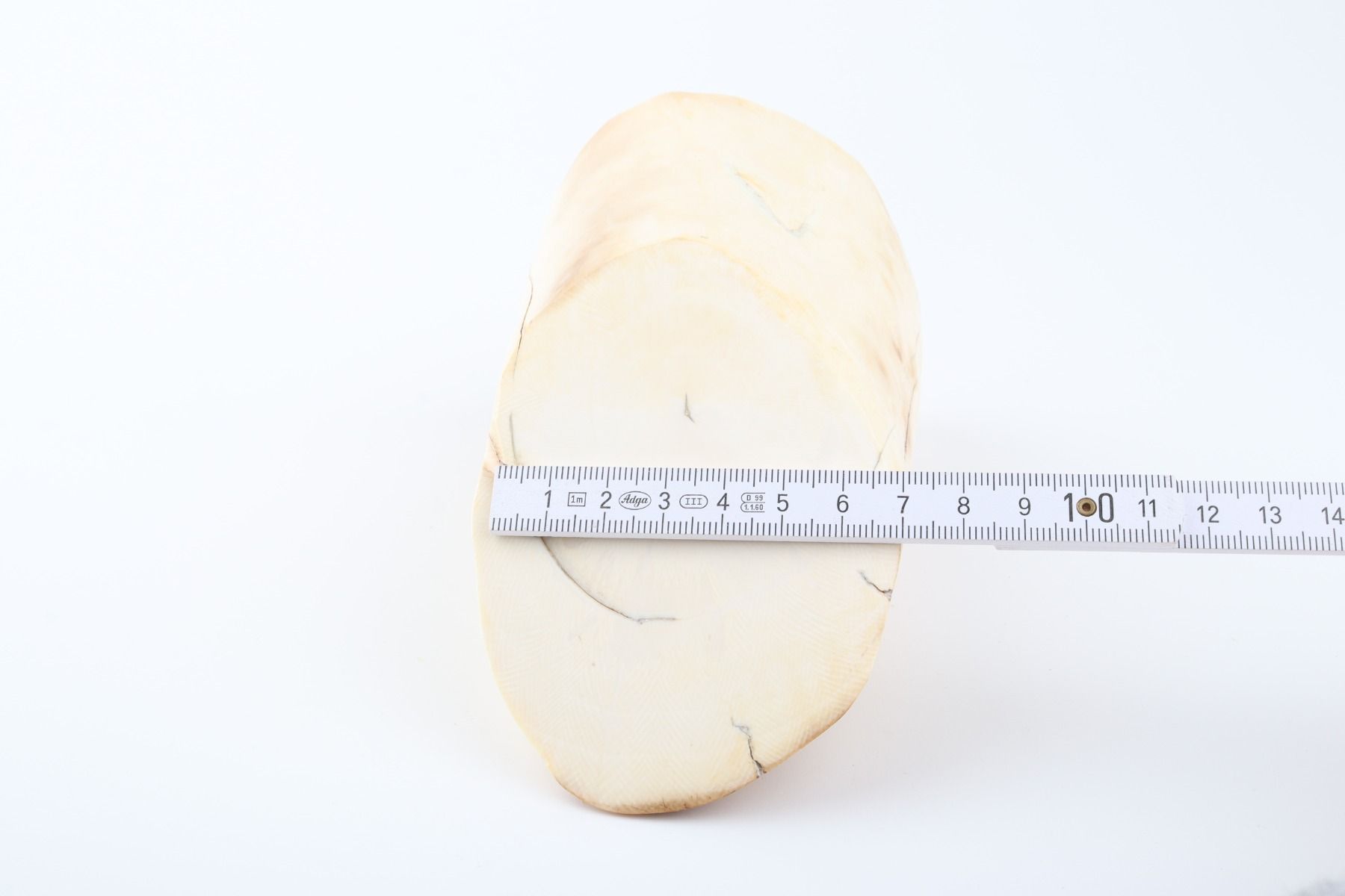 Round mammoth ivory piece