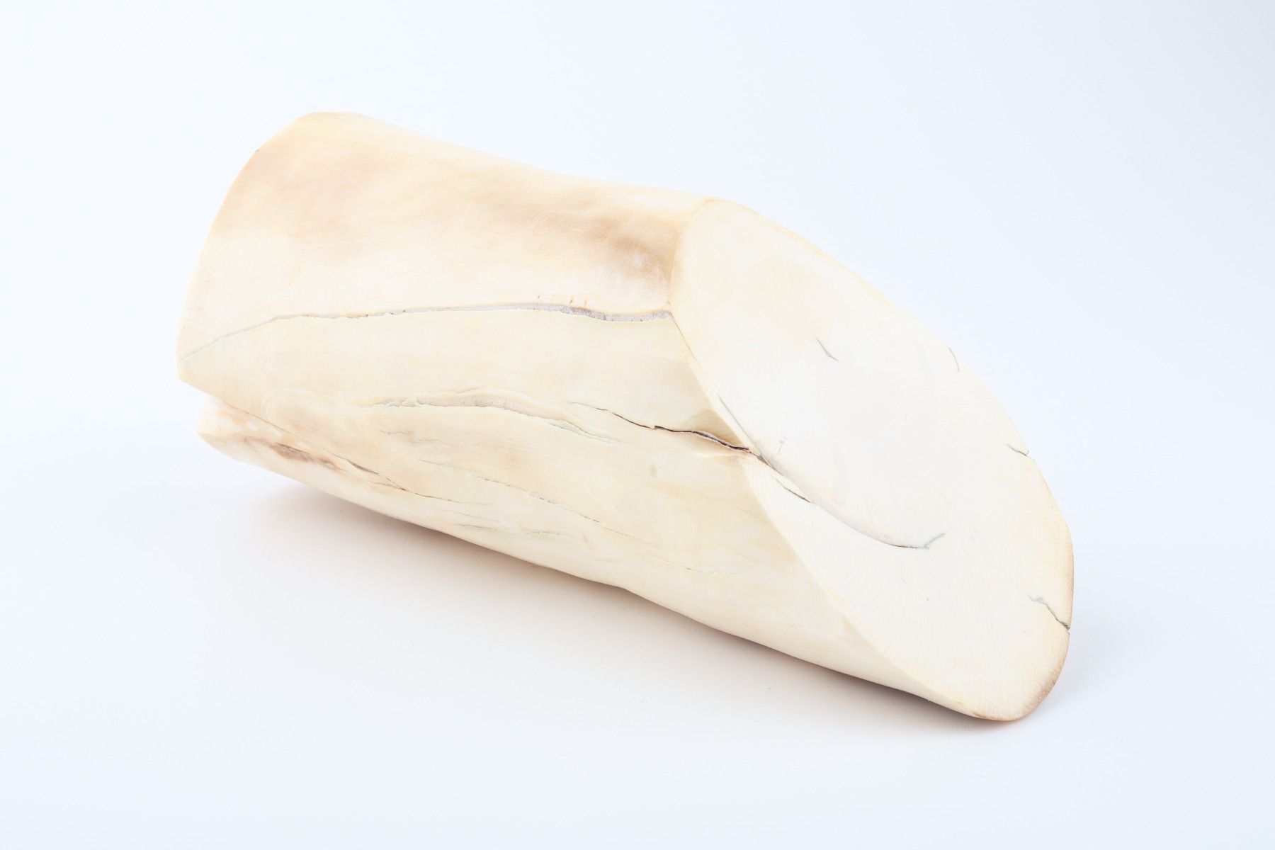 Round mammoth ivory piece
