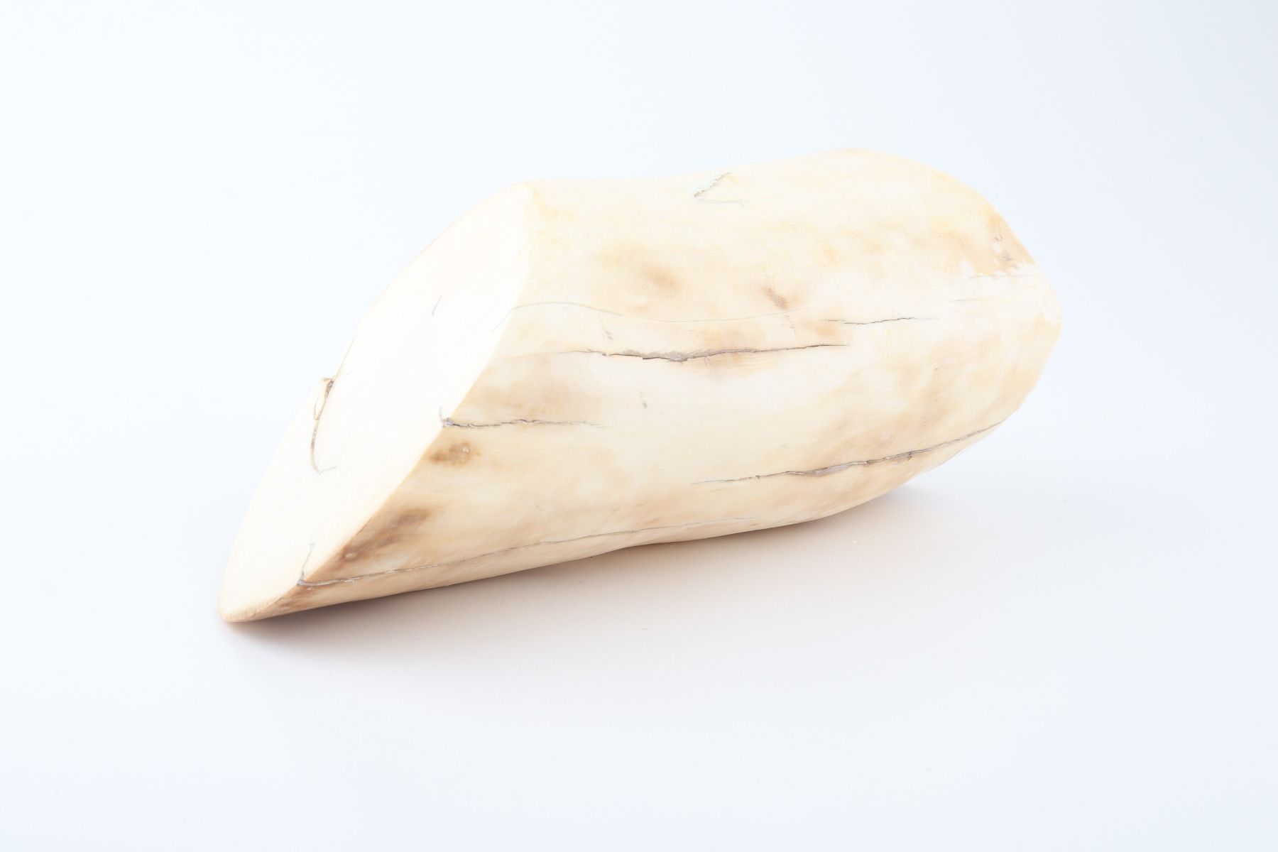 Round mammoth ivory piece