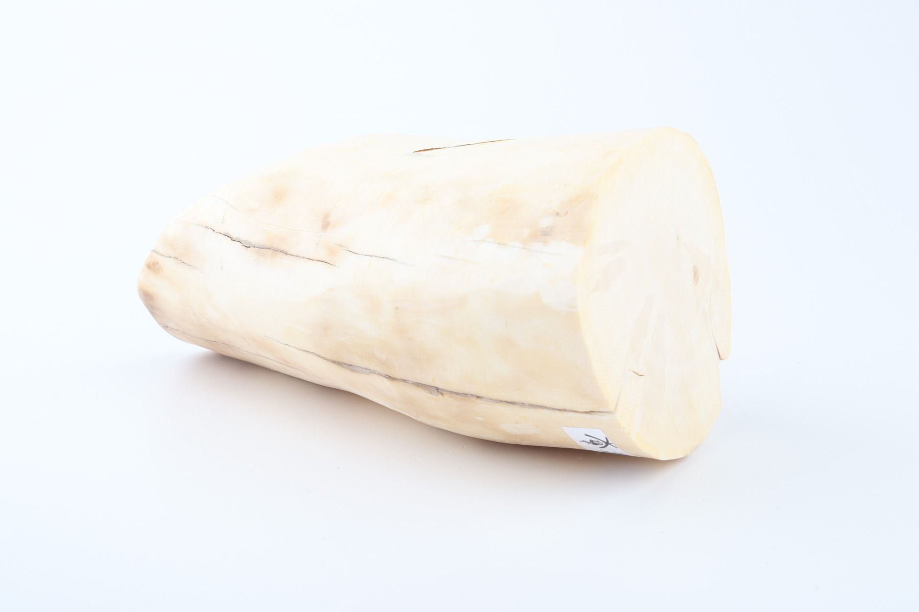 Round mammoth ivory piece