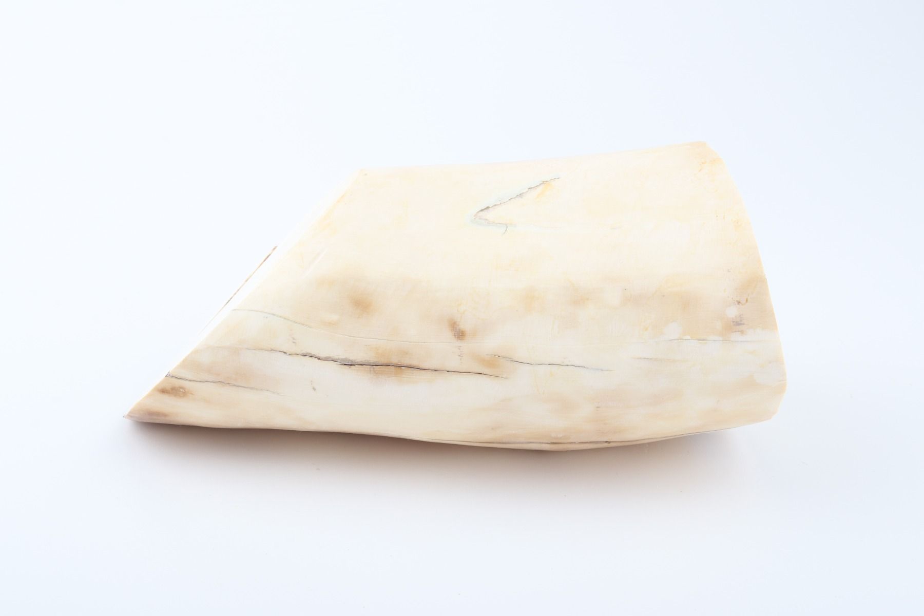 Round mammoth ivory piece