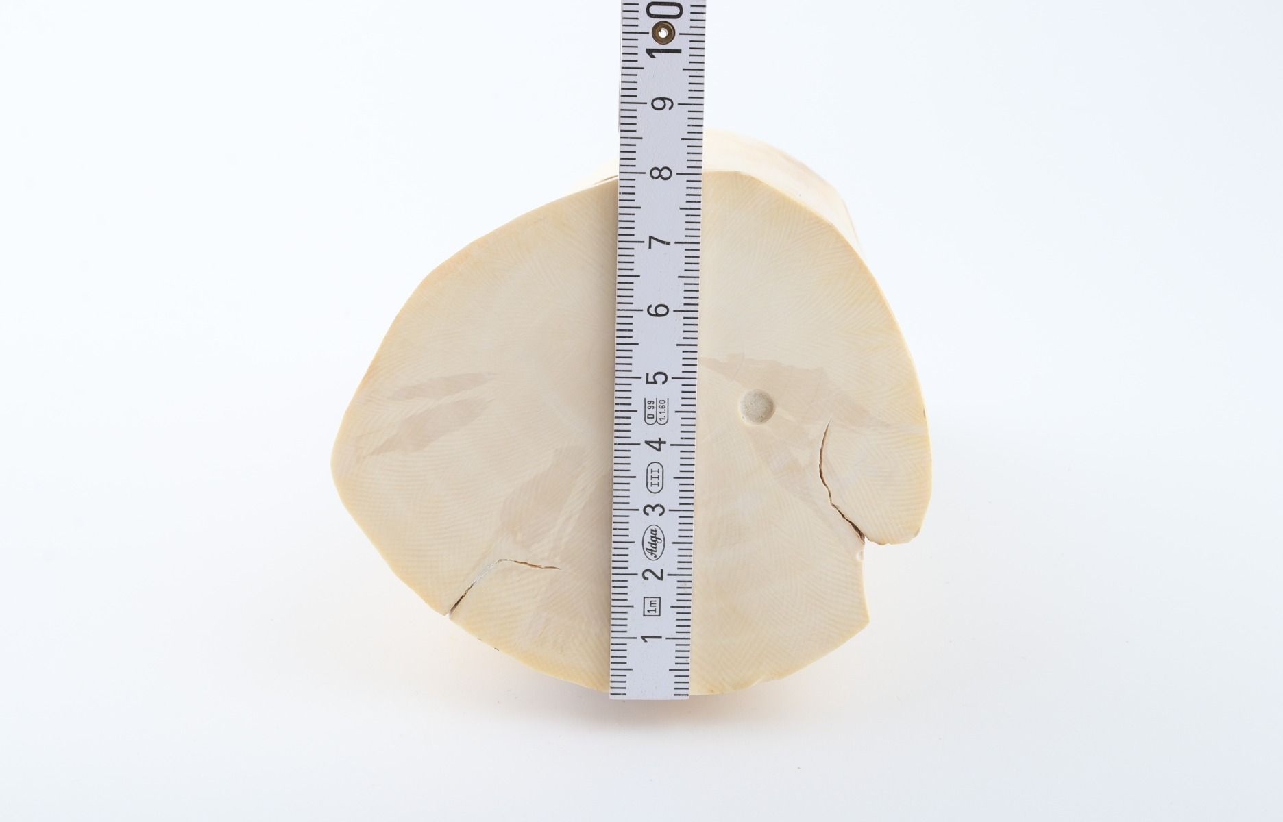 Round mammoth ivory piece
