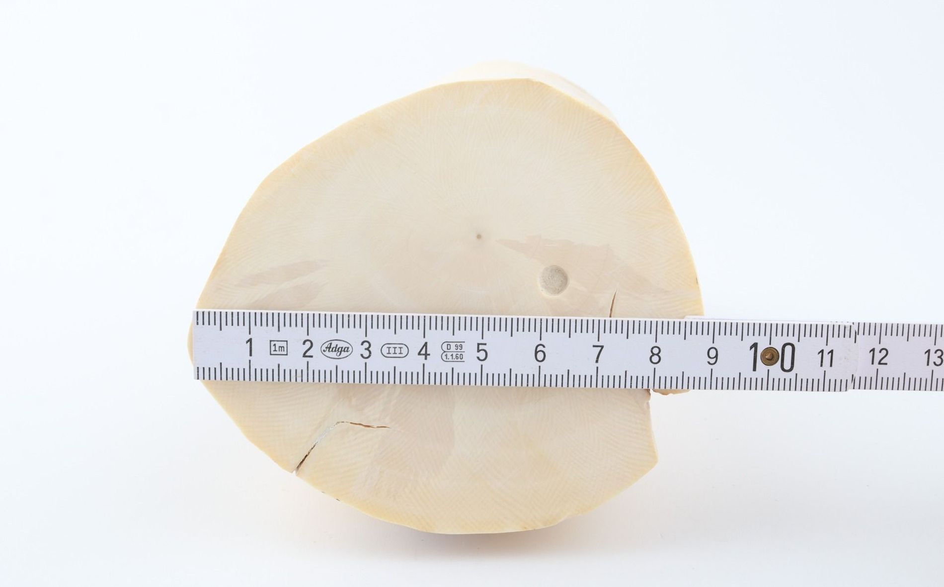 Round mammoth ivory piece
