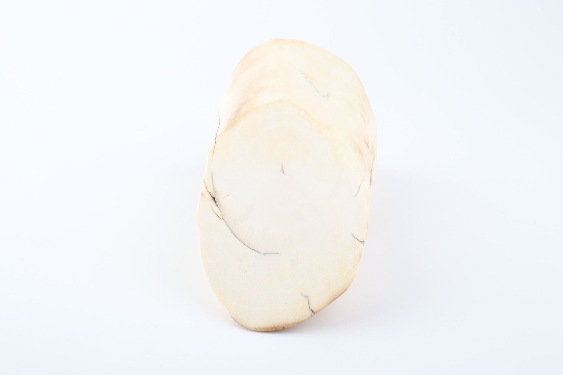 Round mammoth ivory piece