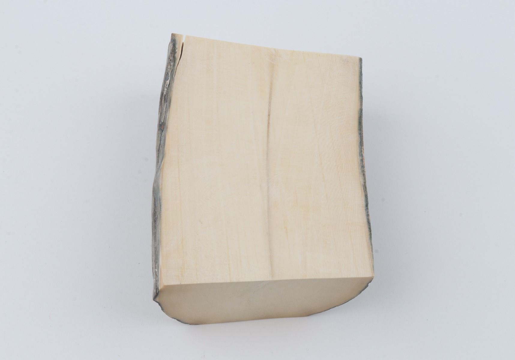 White mammoth ivory segment