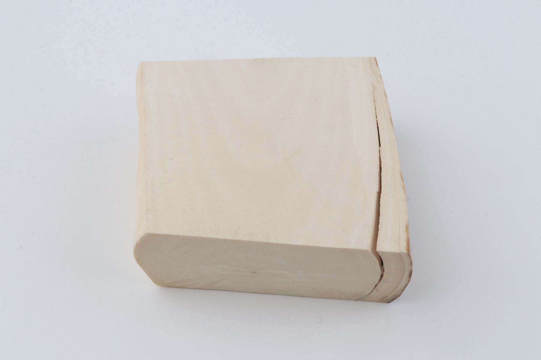 White mammoth ivory segment