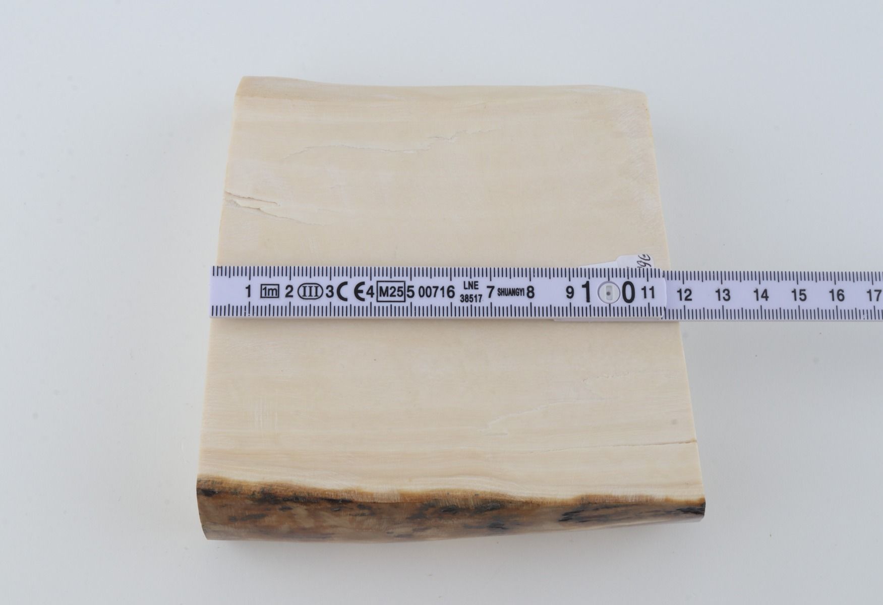 White mammoth ivory segment