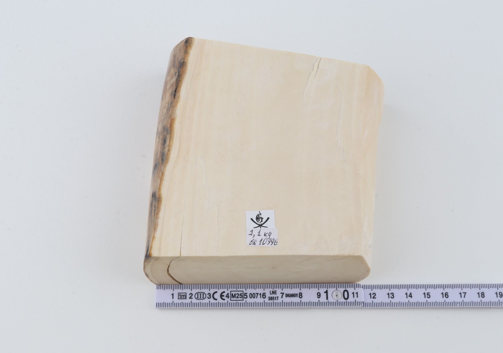 White mammoth ivory segment