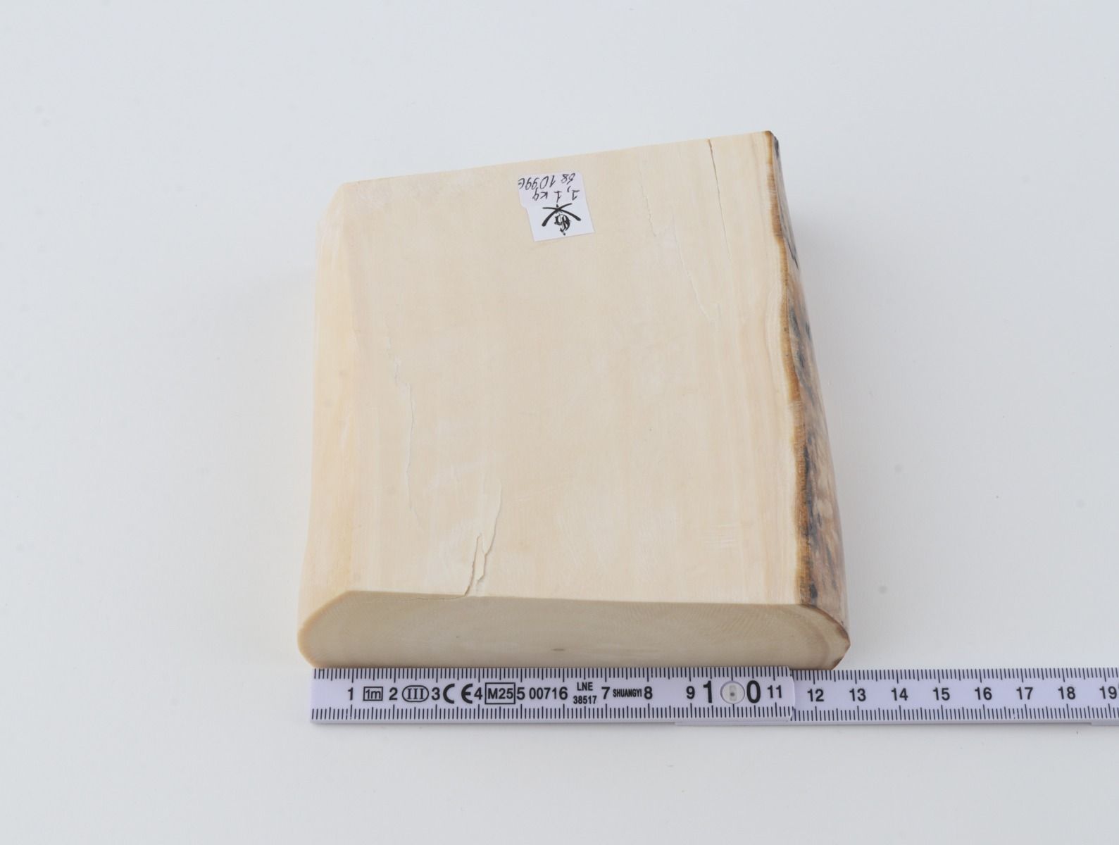 White mammoth ivory segment