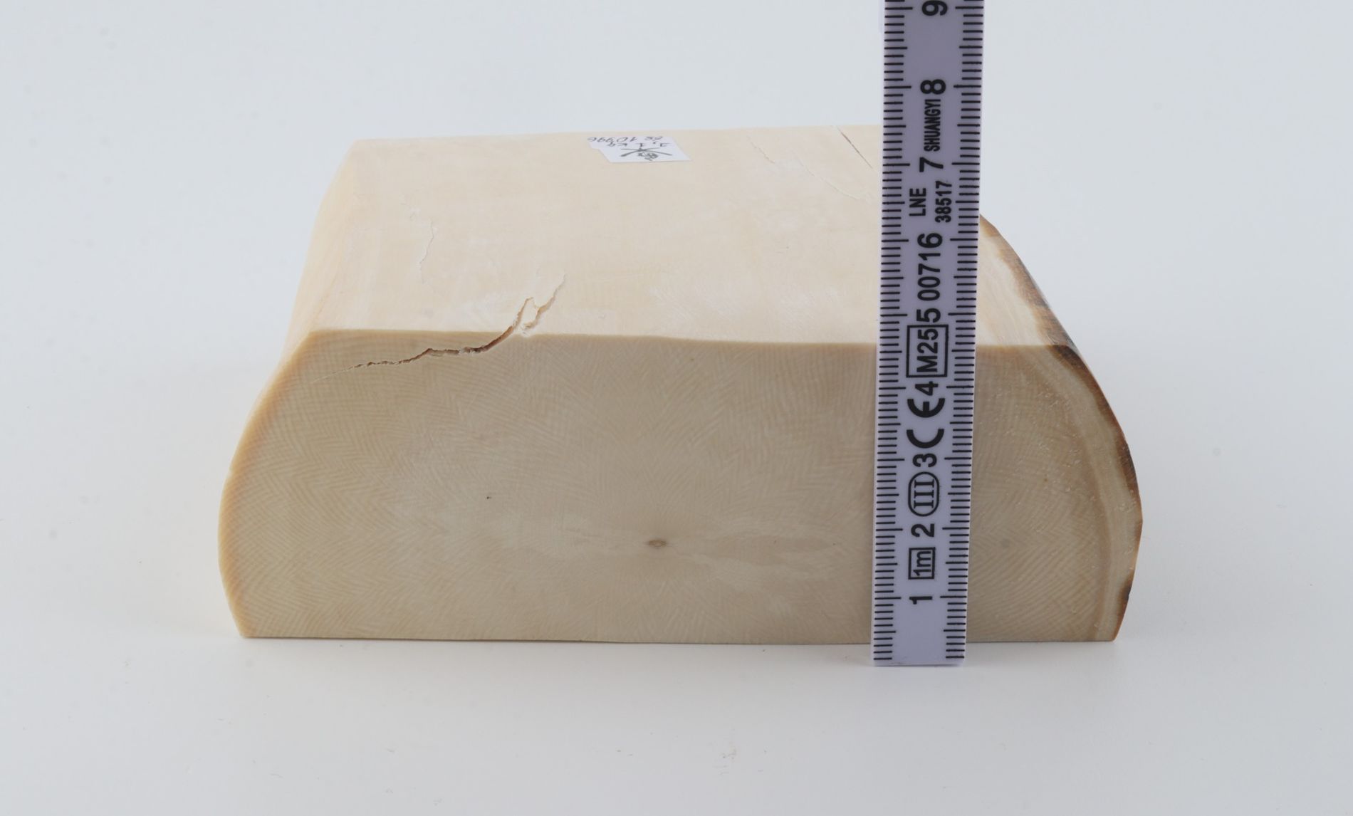 White mammoth ivory segment