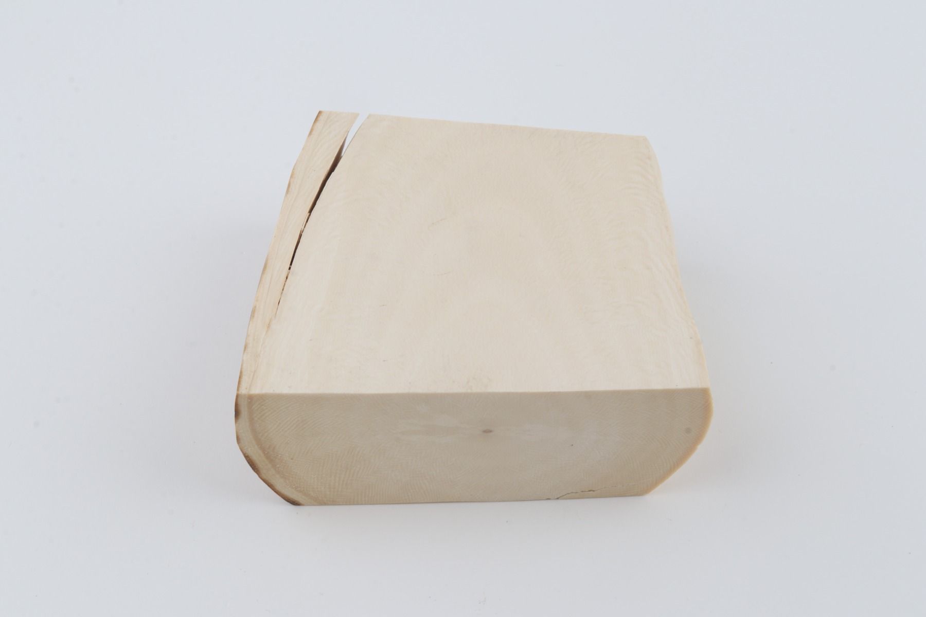 White mammoth ivory segment
