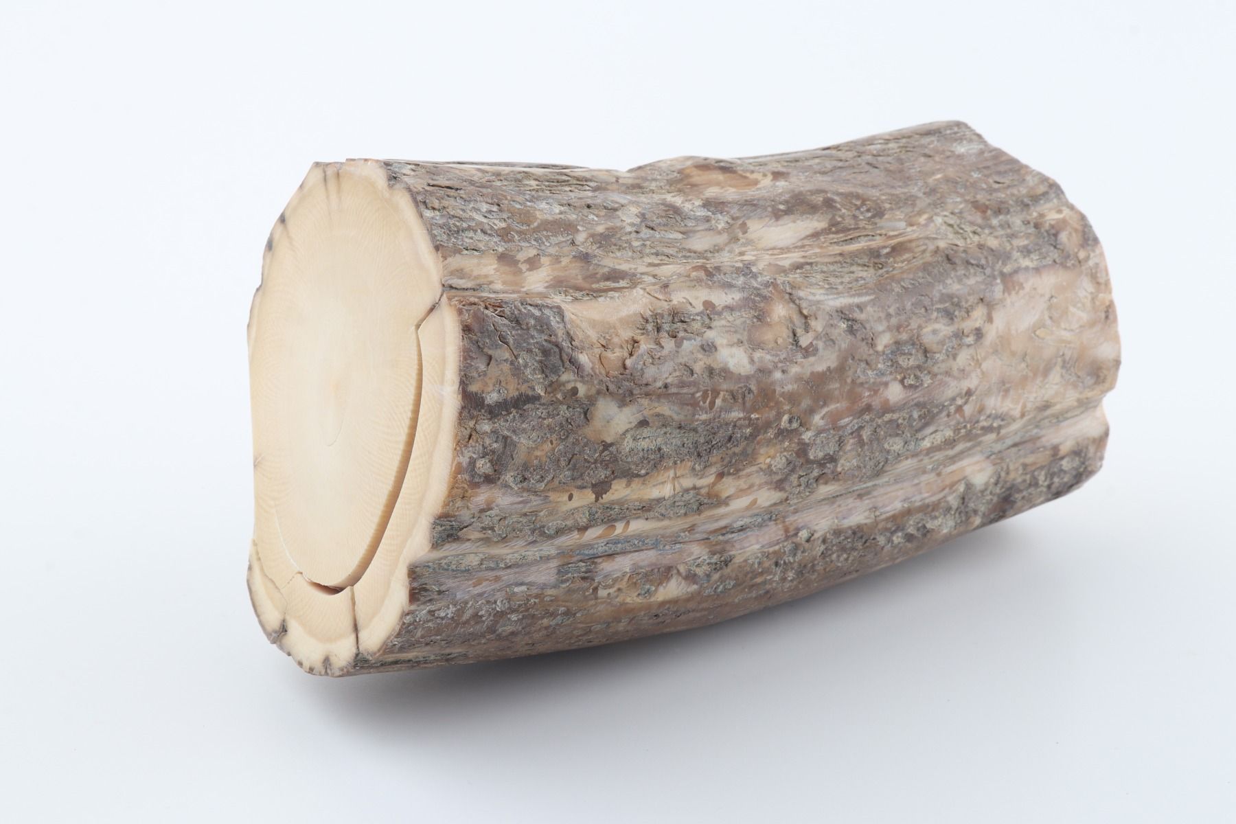 Round mammoth tusk piece