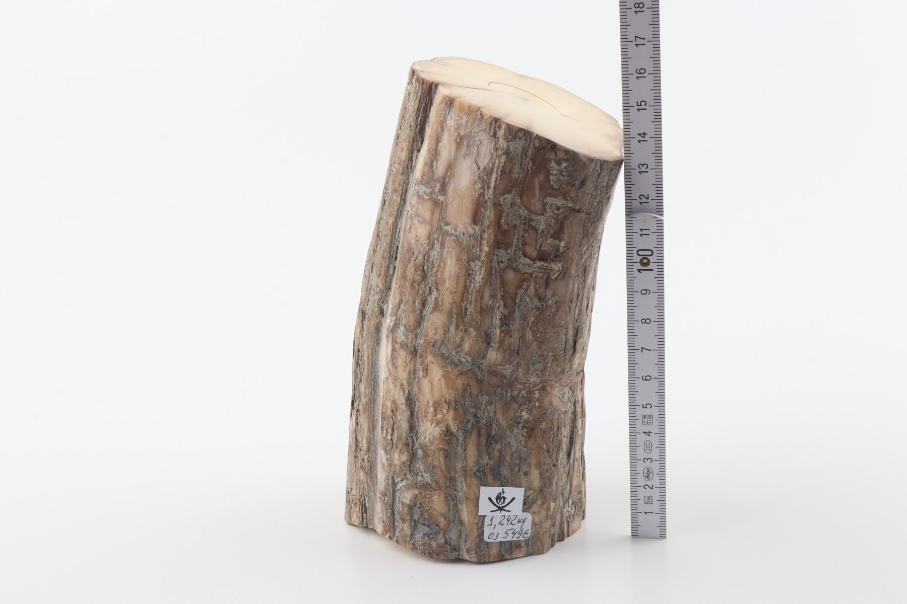 Round mammoth tusk piece