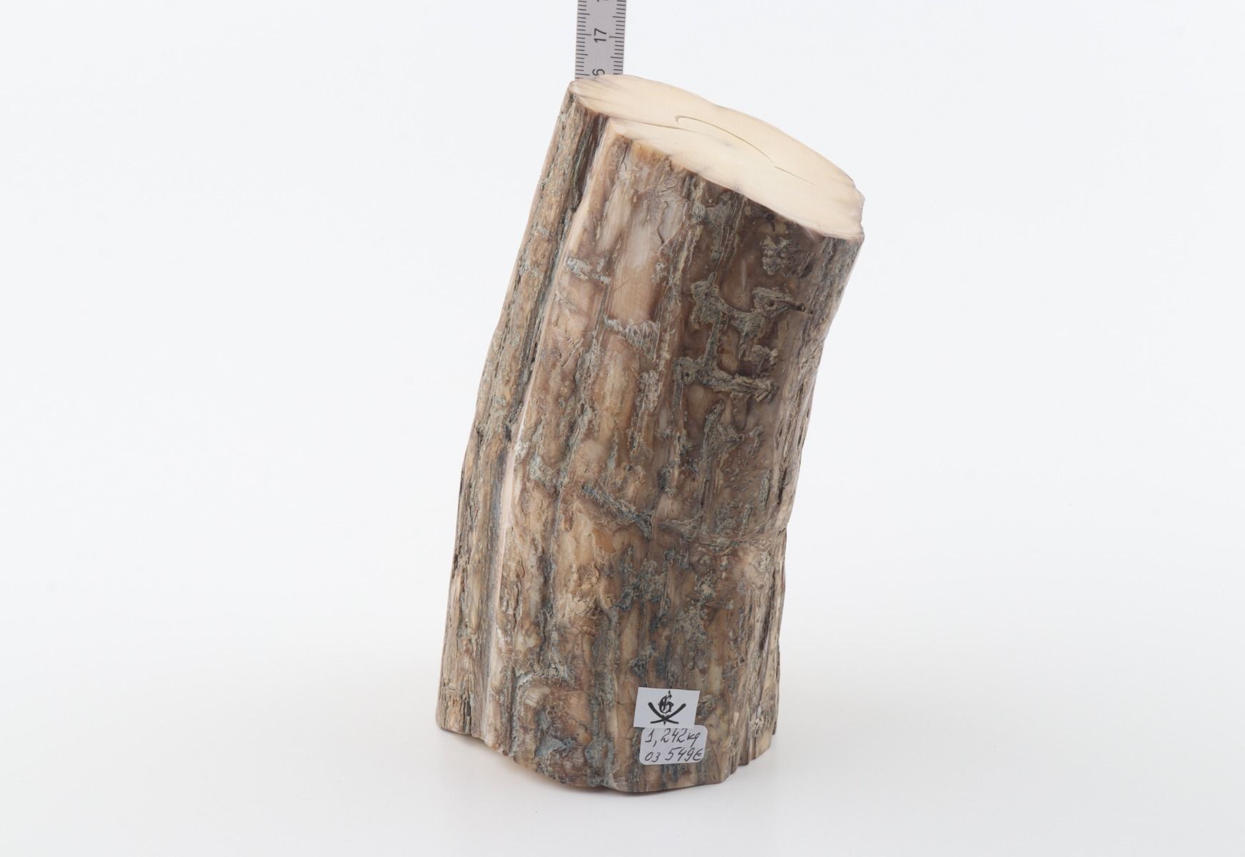 Round mammoth tusk piece