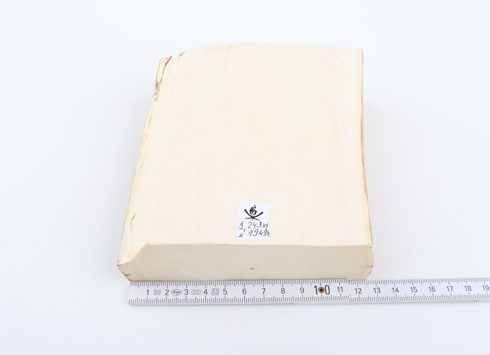 White mammoth ivory segment