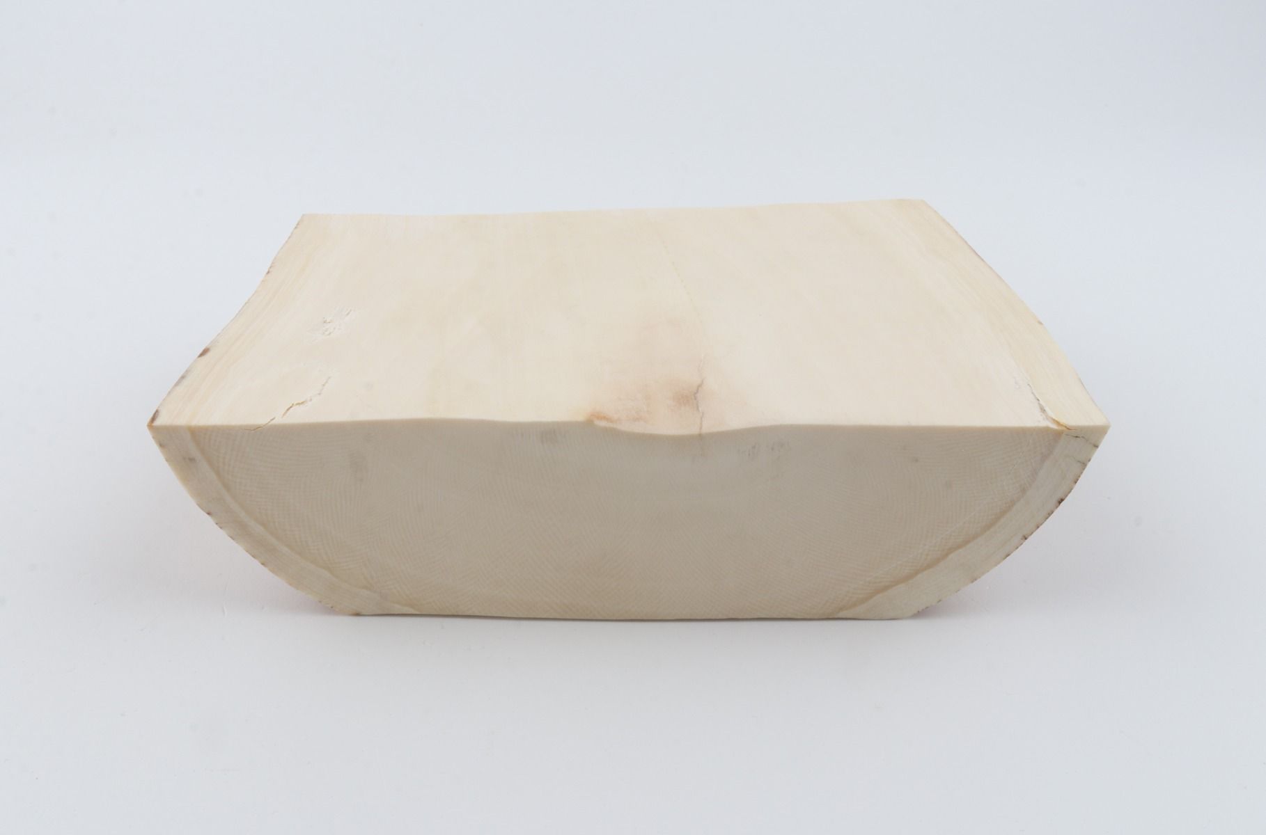 White mammoth ivory segment