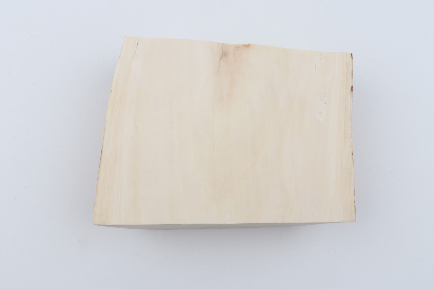 White mammoth ivory segment