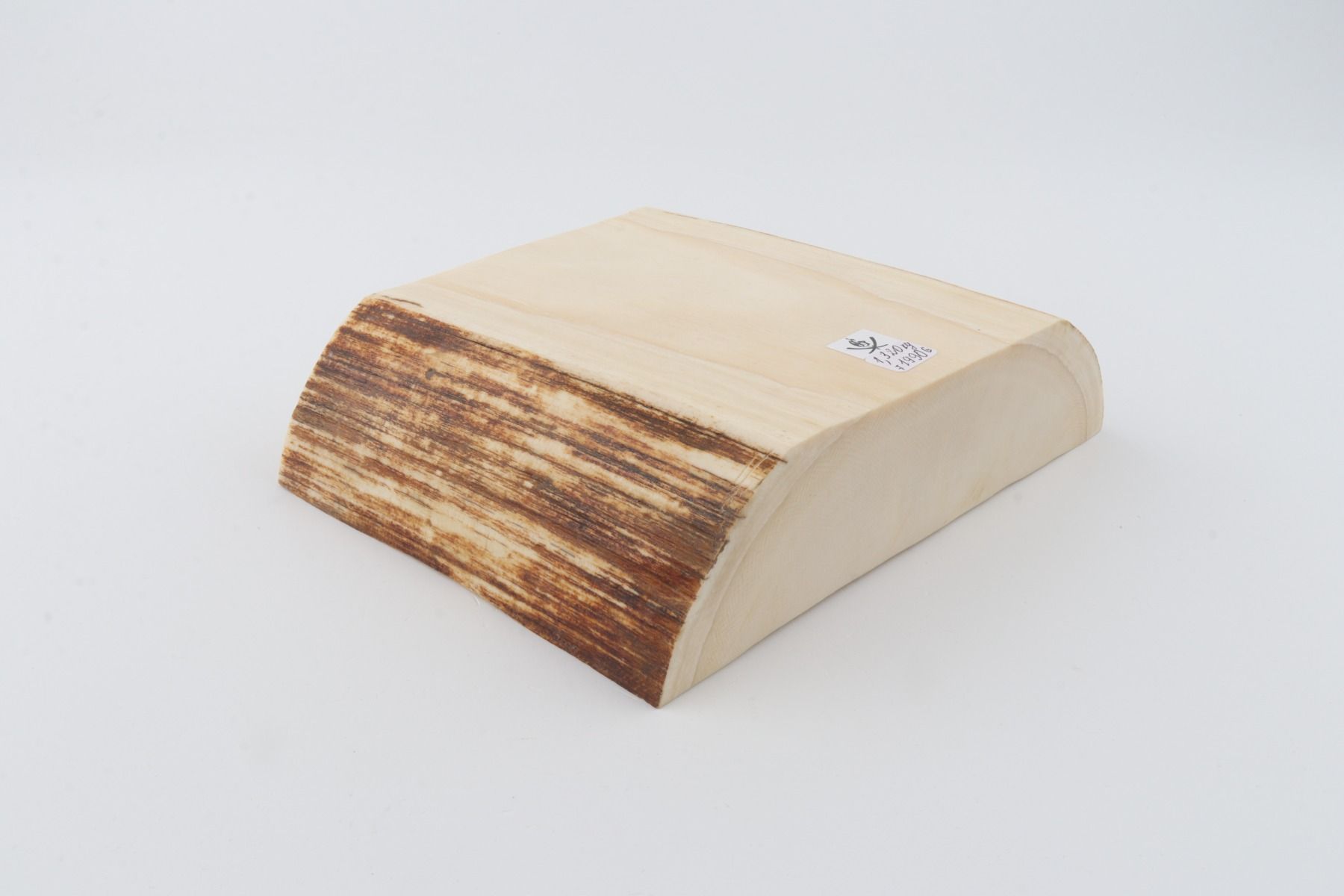 White mammoth ivory segment
