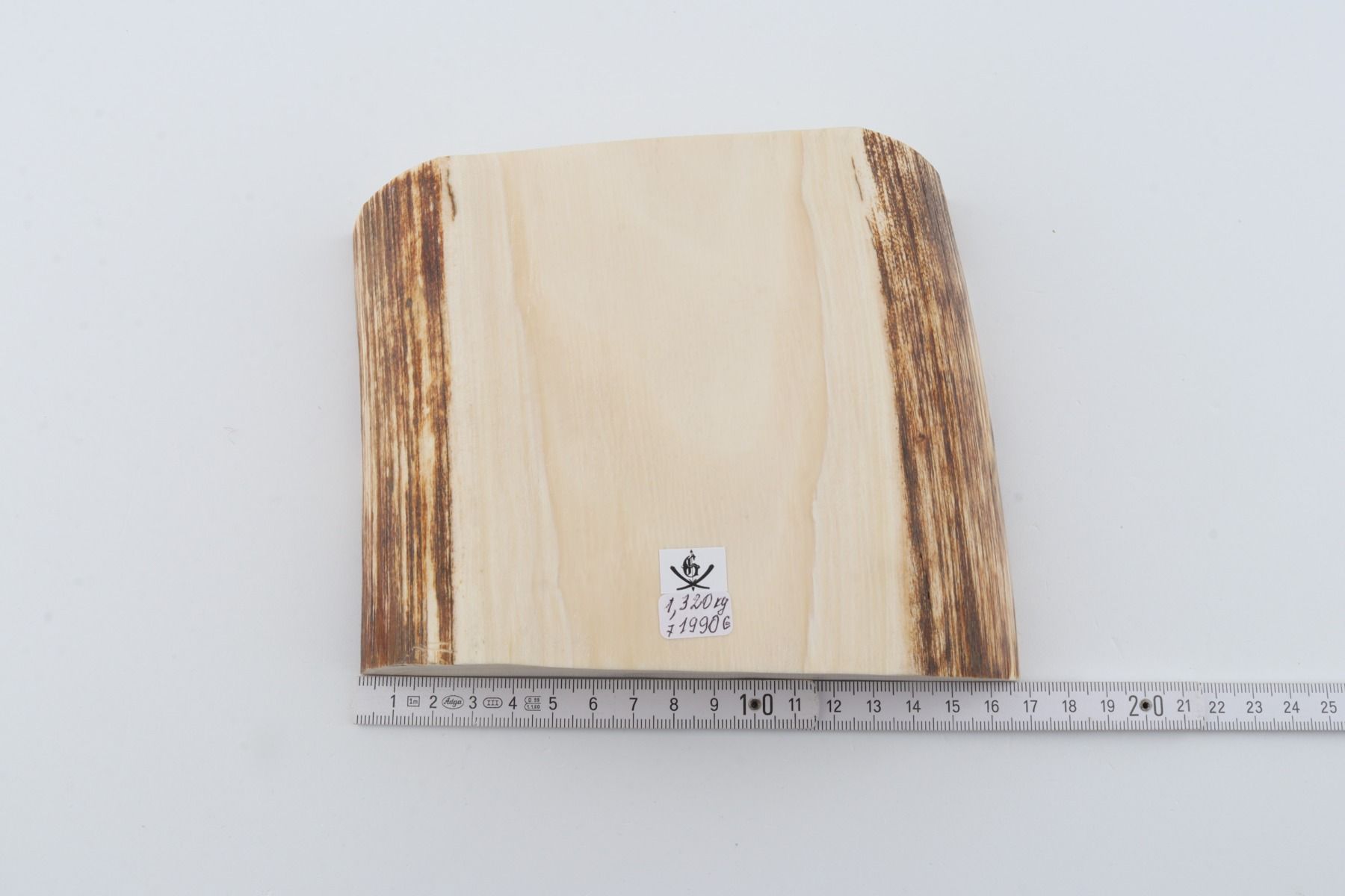 White mammoth ivory segment