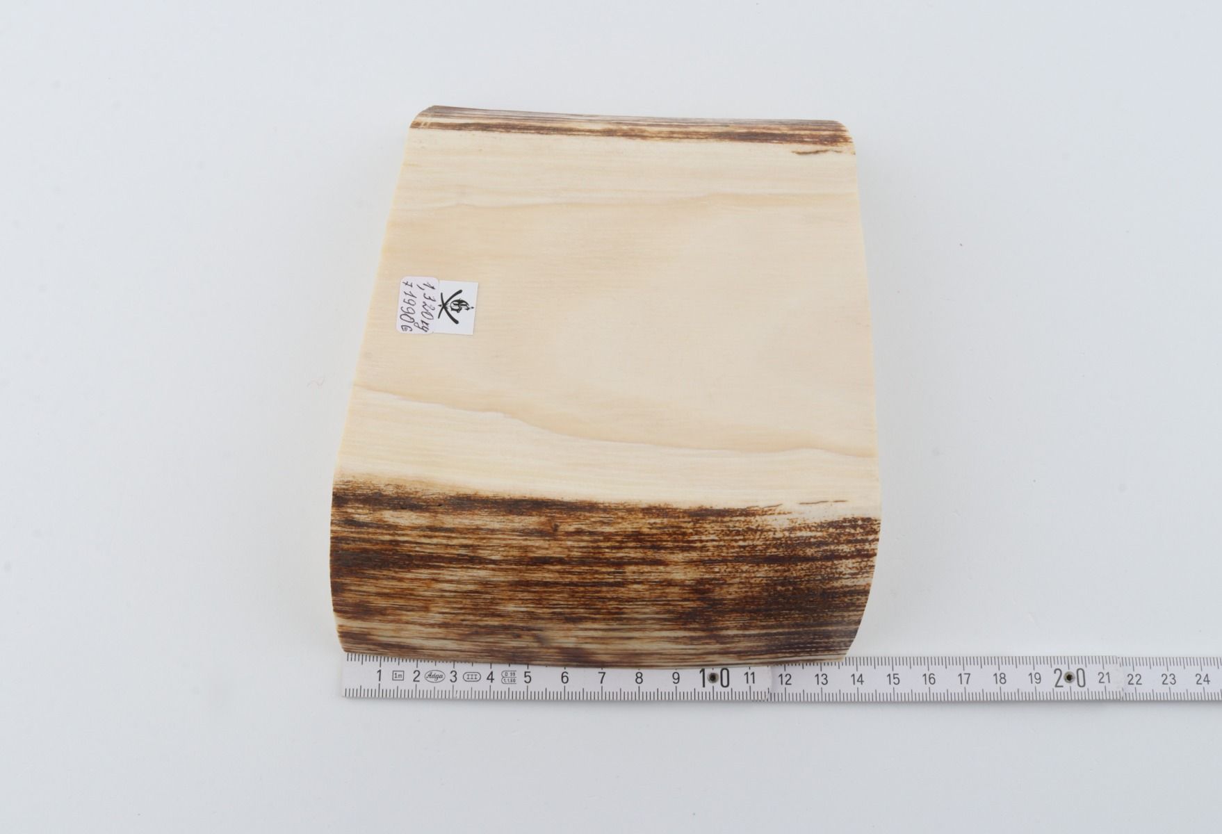 White mammoth ivory segment
