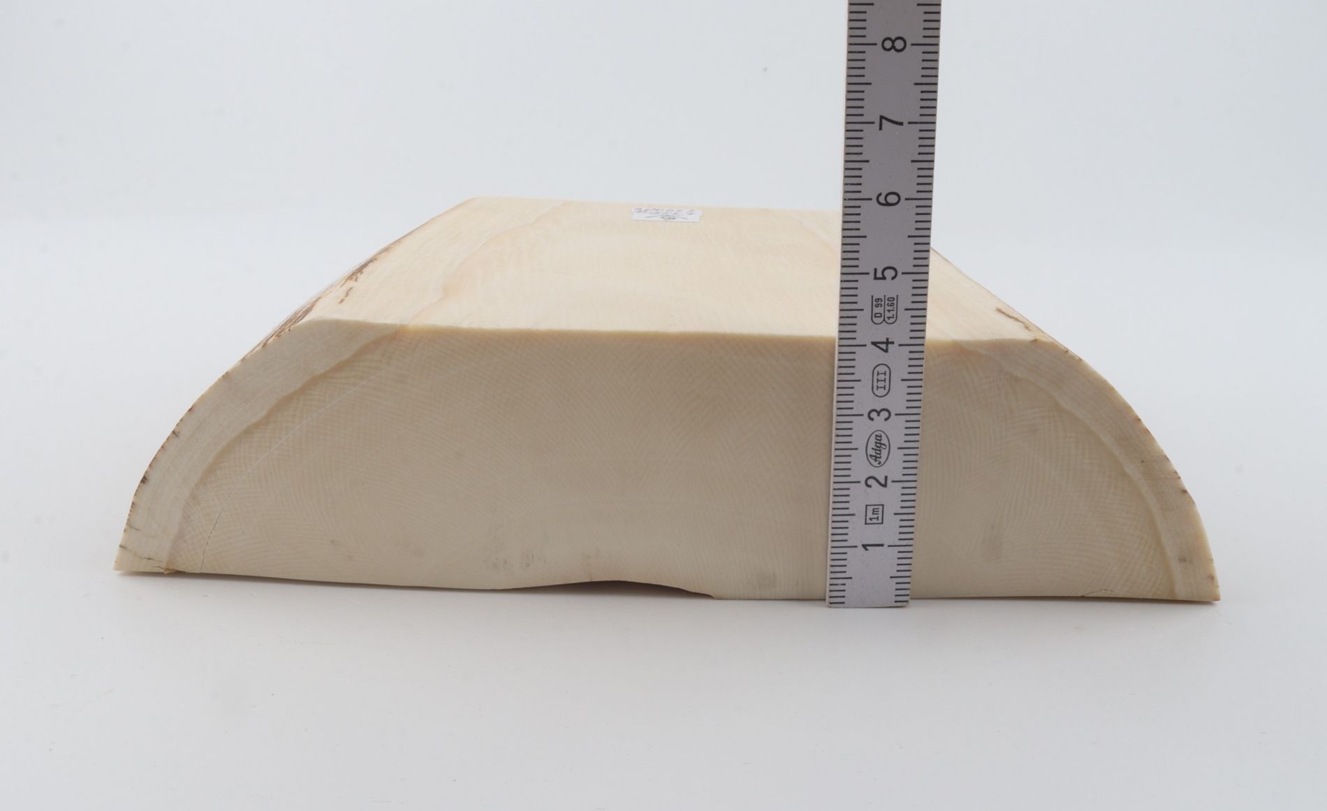 White mammoth ivory segment