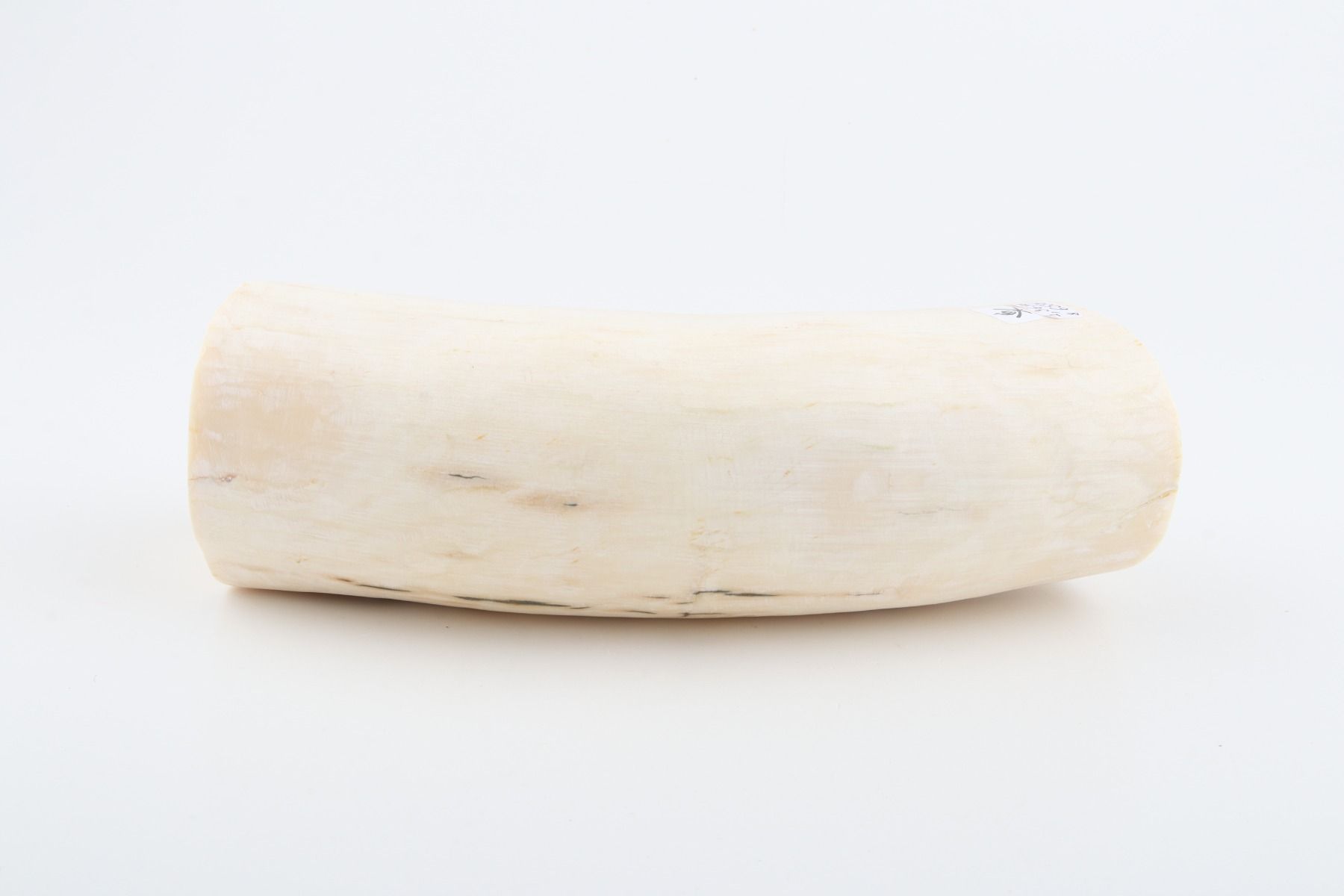 Natural mammoth tusk piece