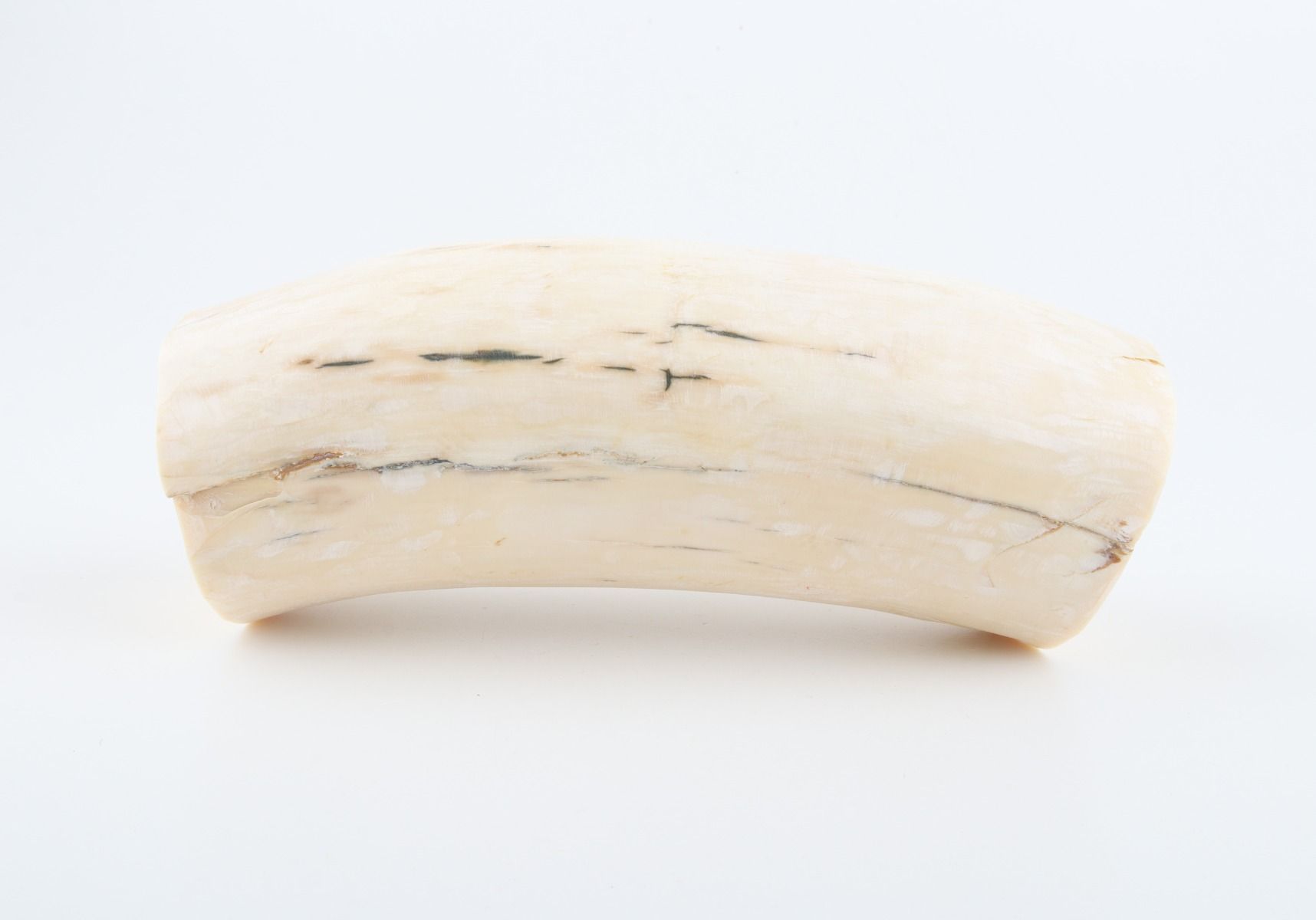 Natural mammoth tusk piece