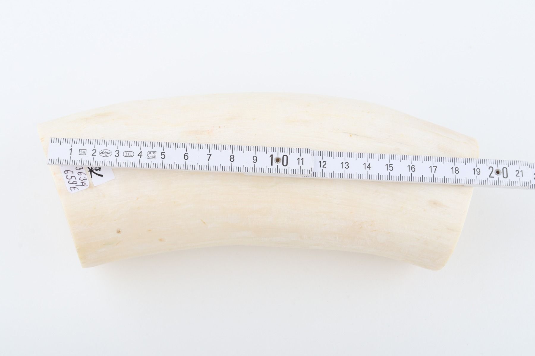 Natural mammoth tusk piece