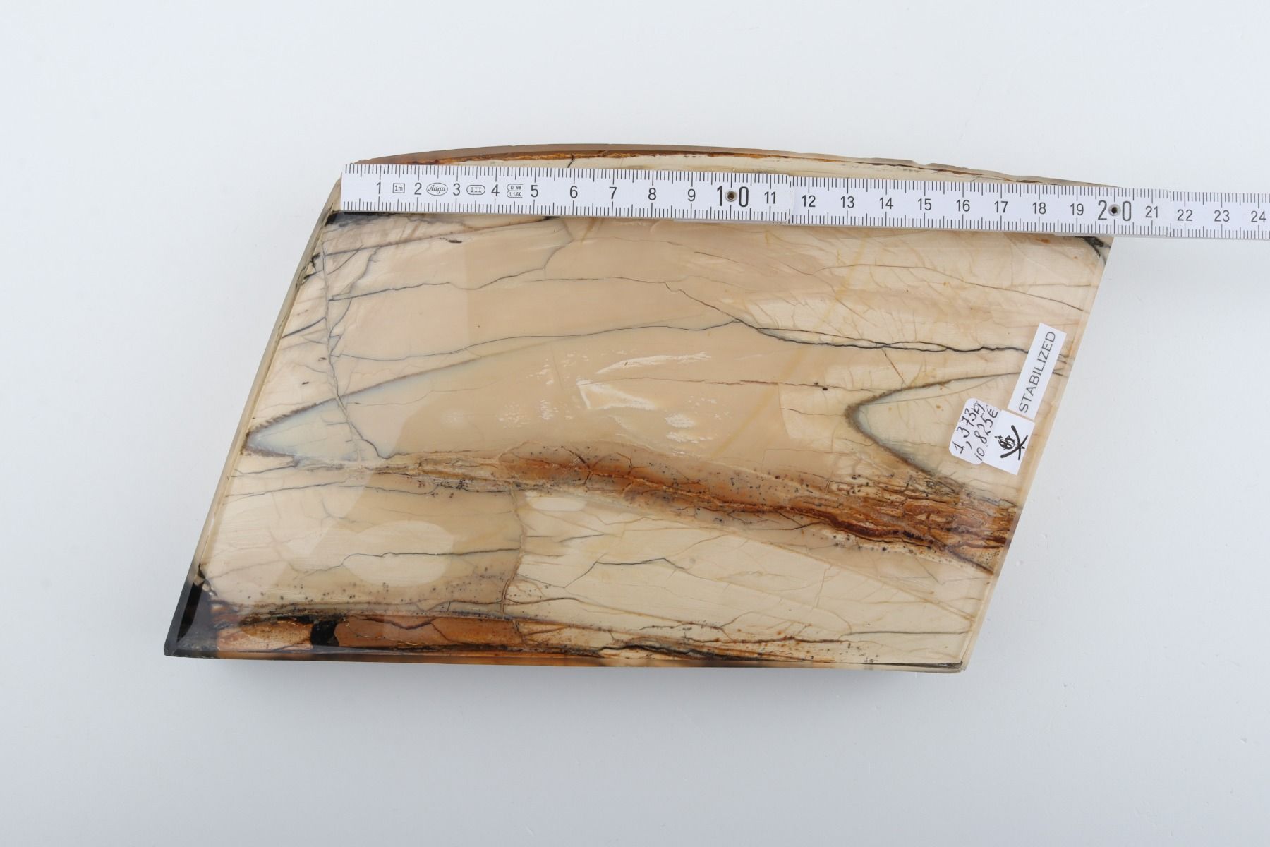 Stabilized mammoth ivory slab