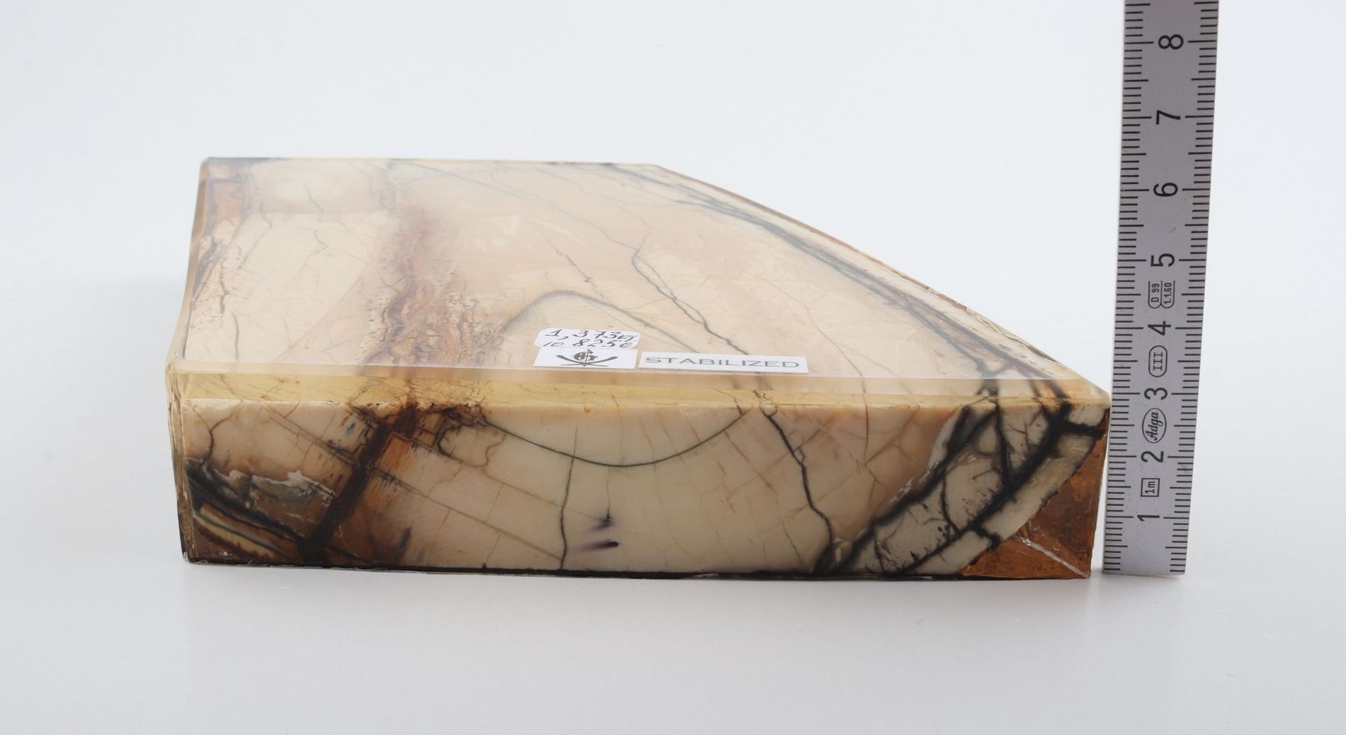 Stabilized mammoth ivory slab