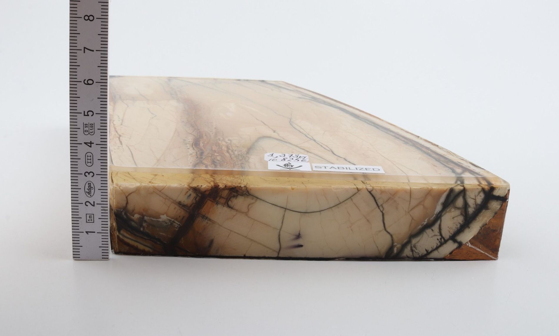 Stabilized mammoth ivory slab