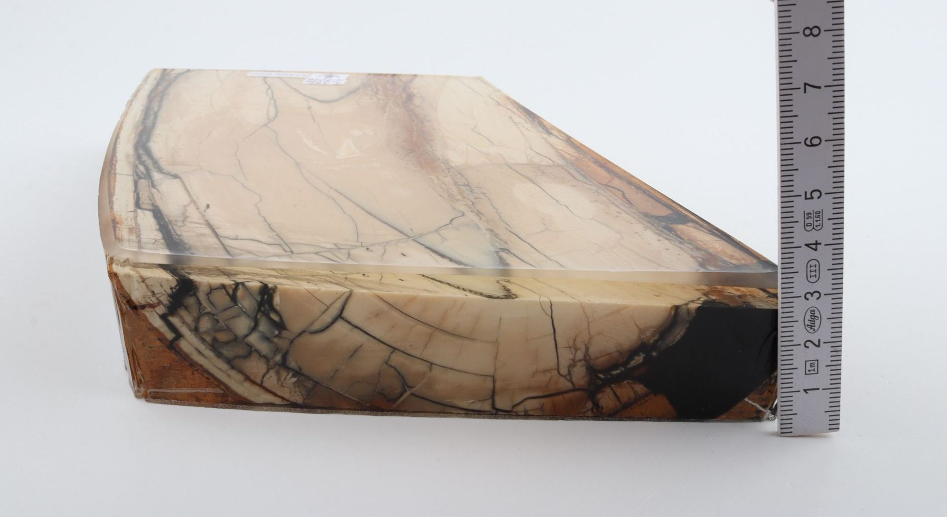 Stabilized mammoth ivory slab