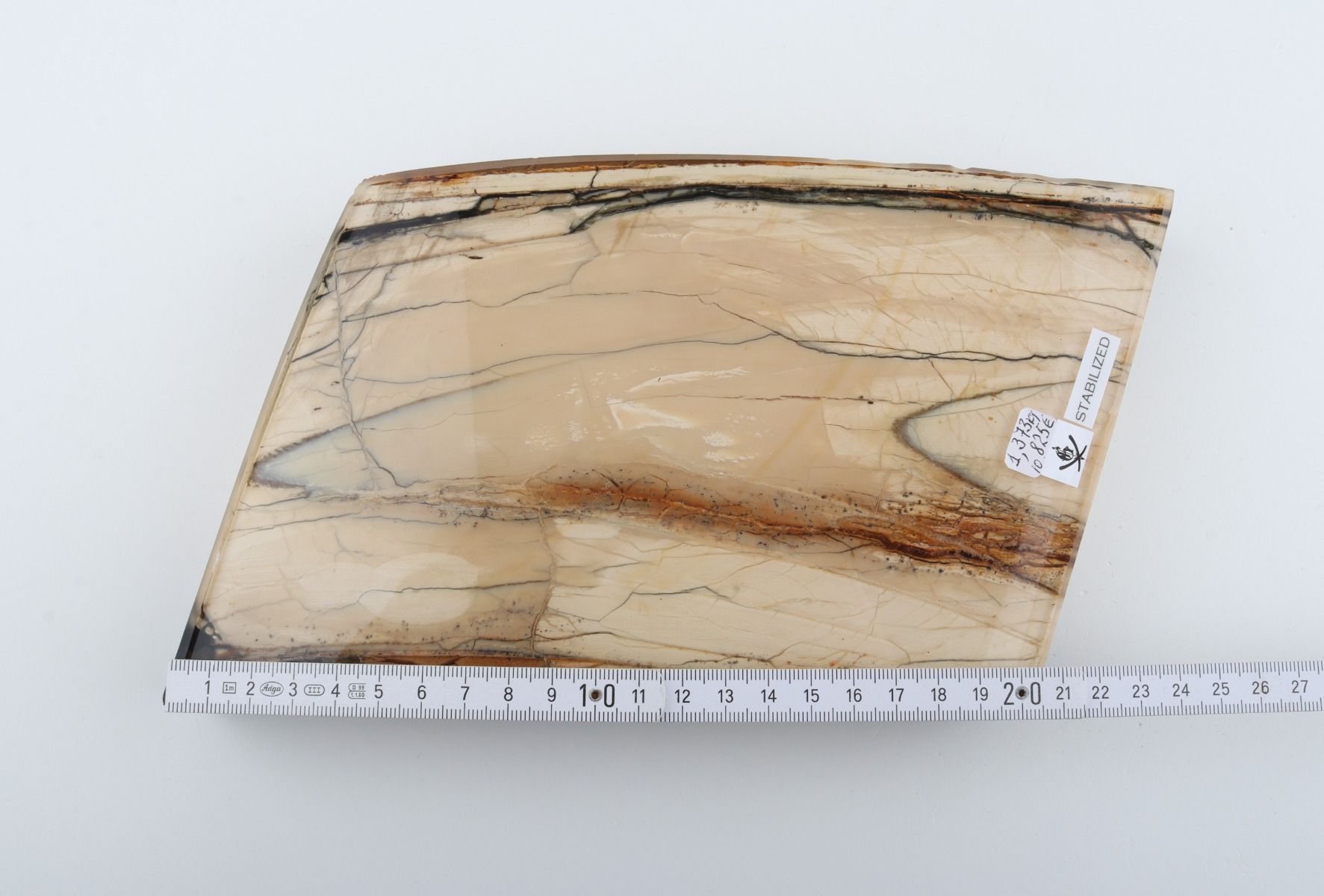 Stabilized mammoth ivory slab