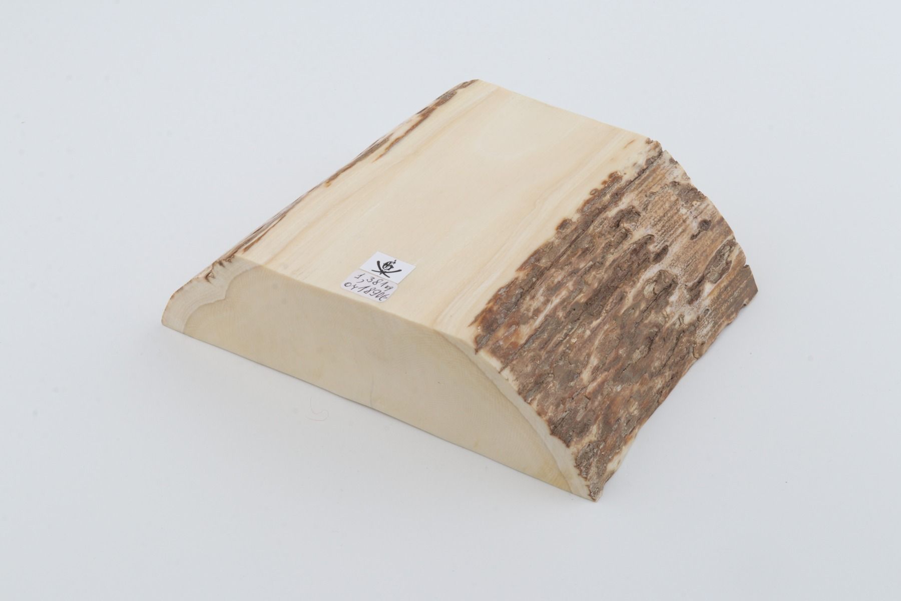 White mammoth ivory segment