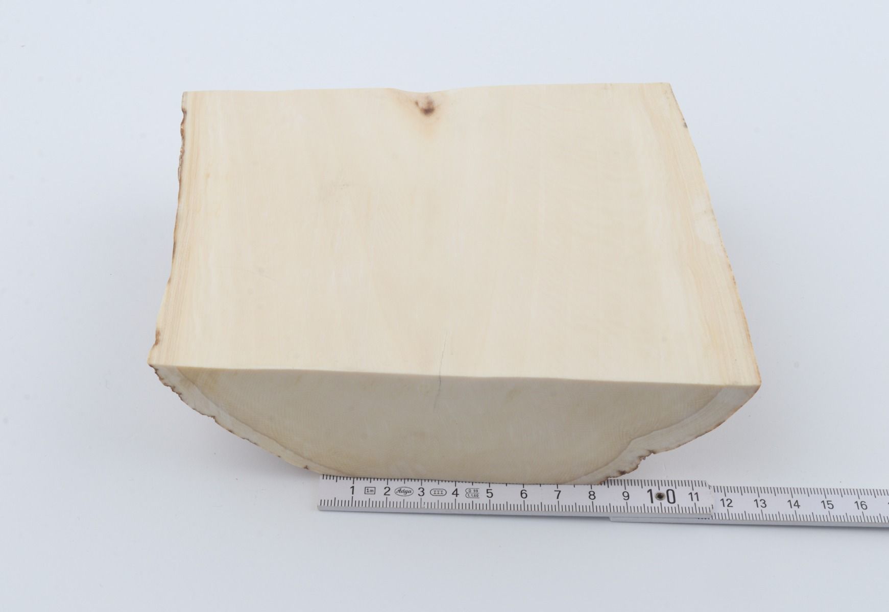 White mammoth ivory segment