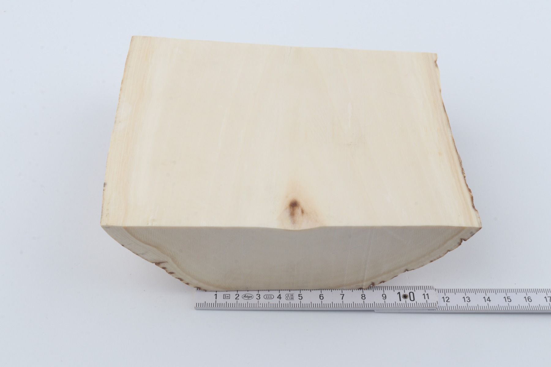 White mammoth ivory segment