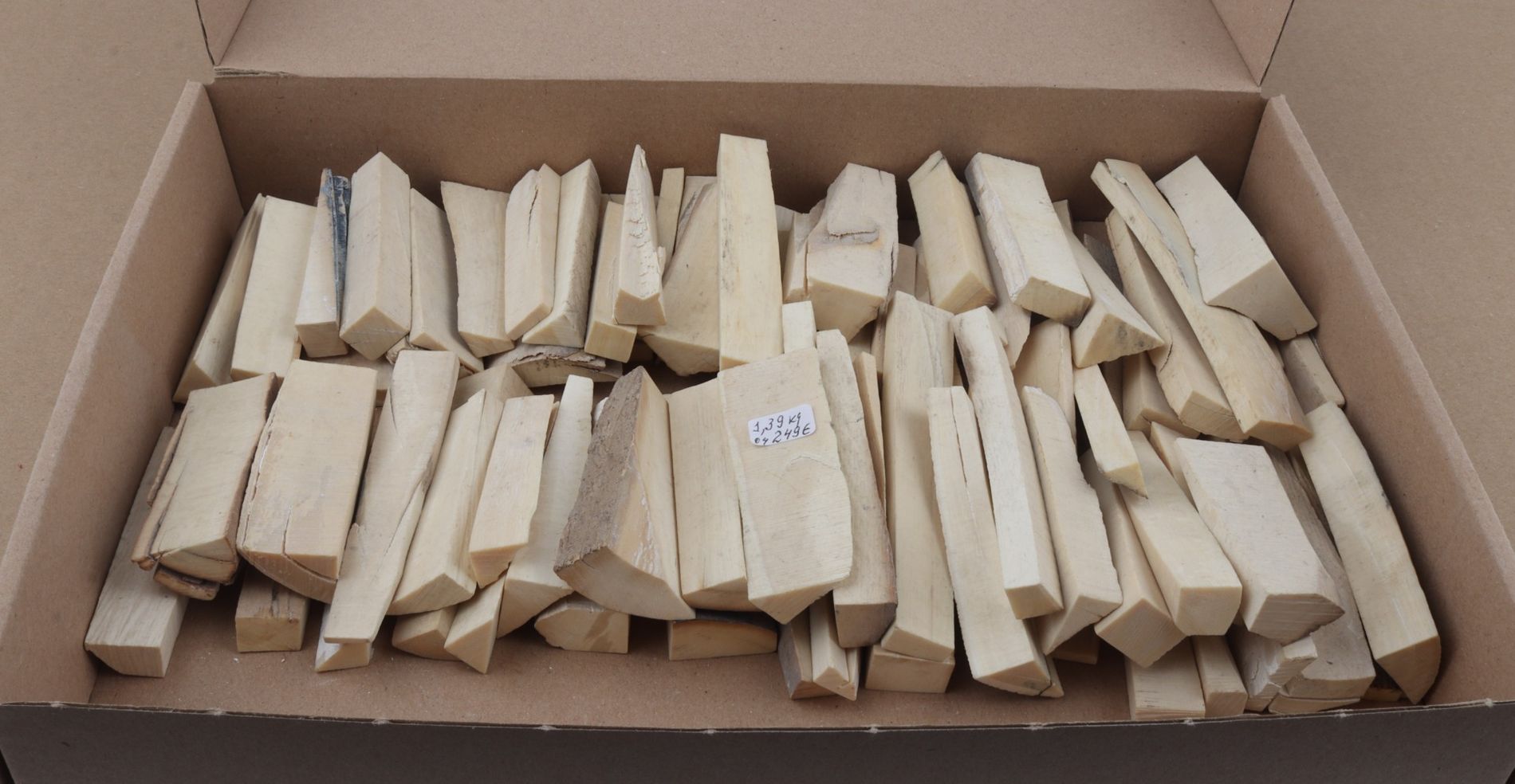 White mammoth ivory pieces