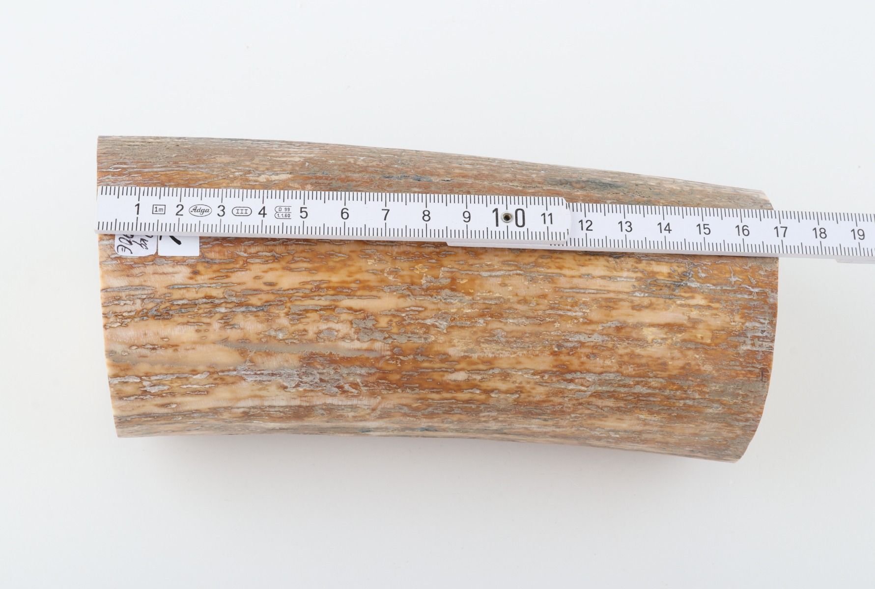 Round mammoth tusk piece