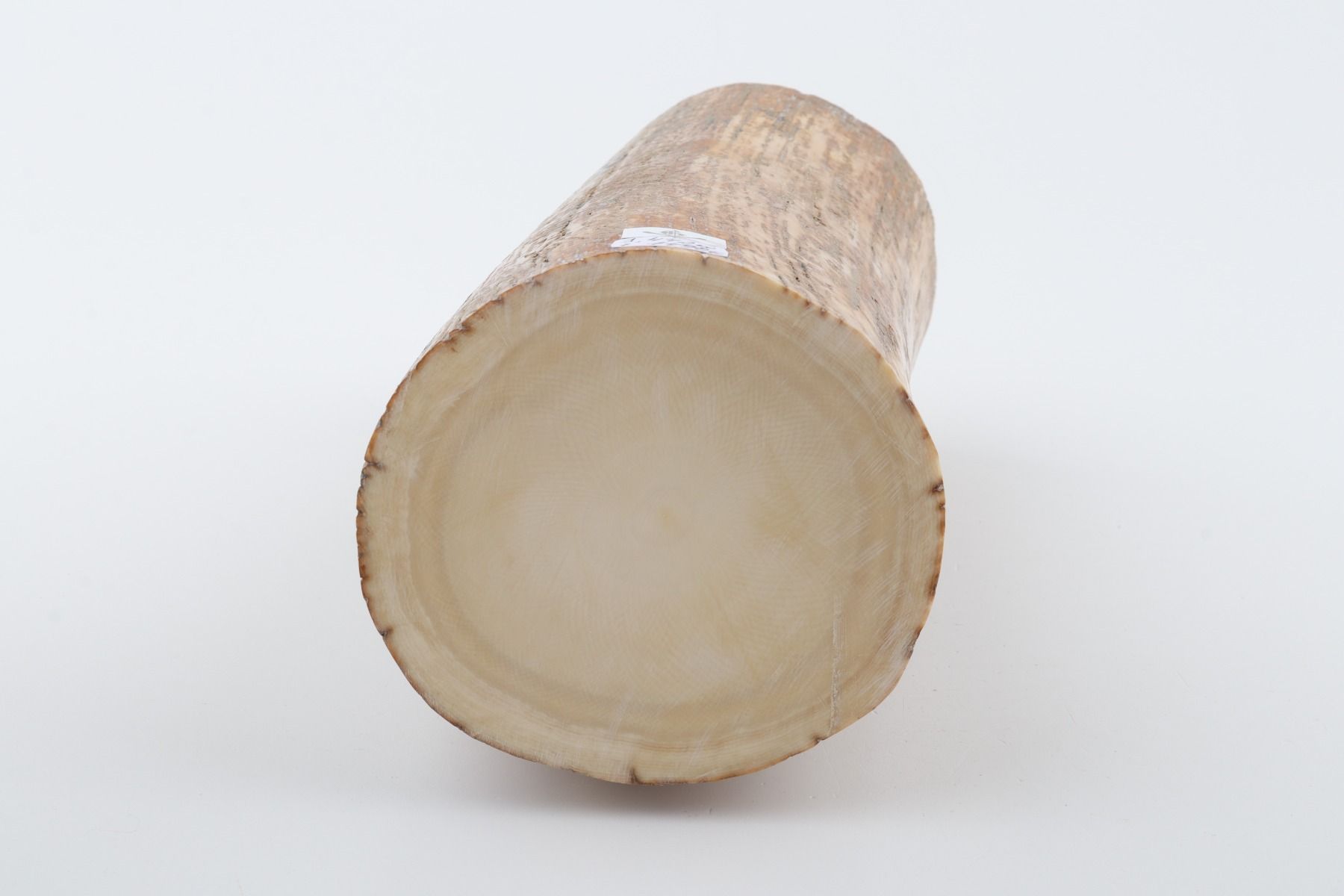 Round mammoth tusk piece