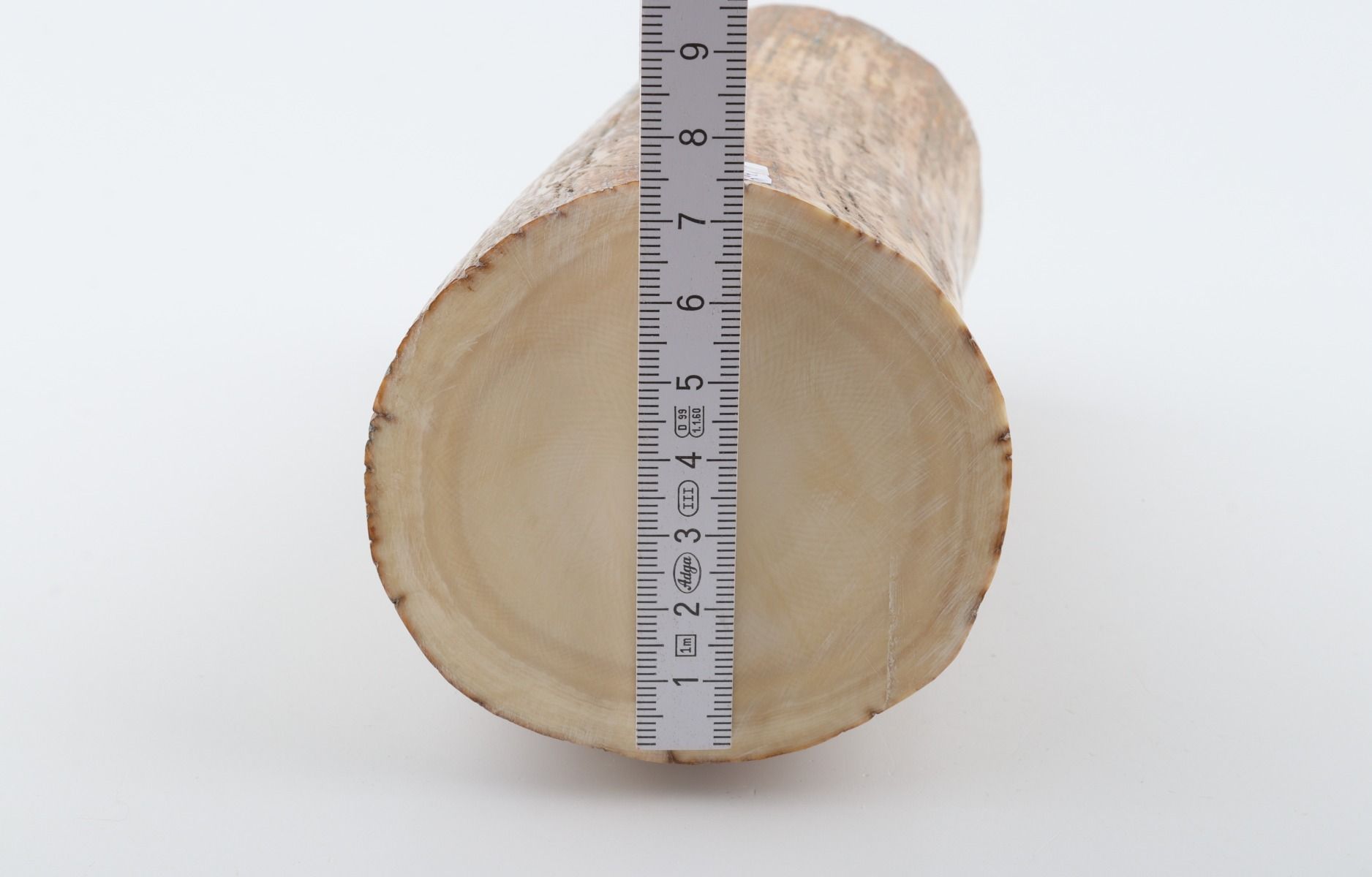 Round mammoth tusk piece