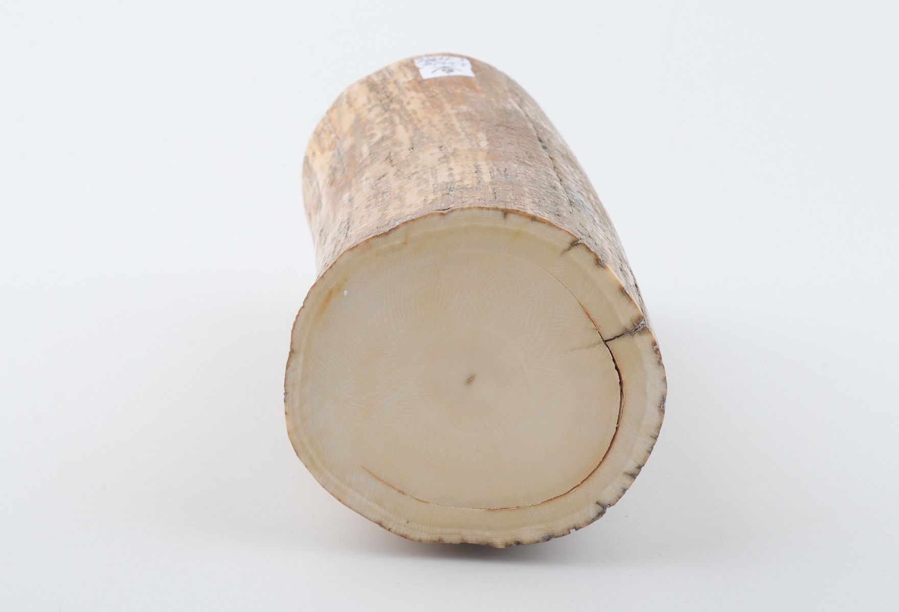 Round mammoth tusk piece