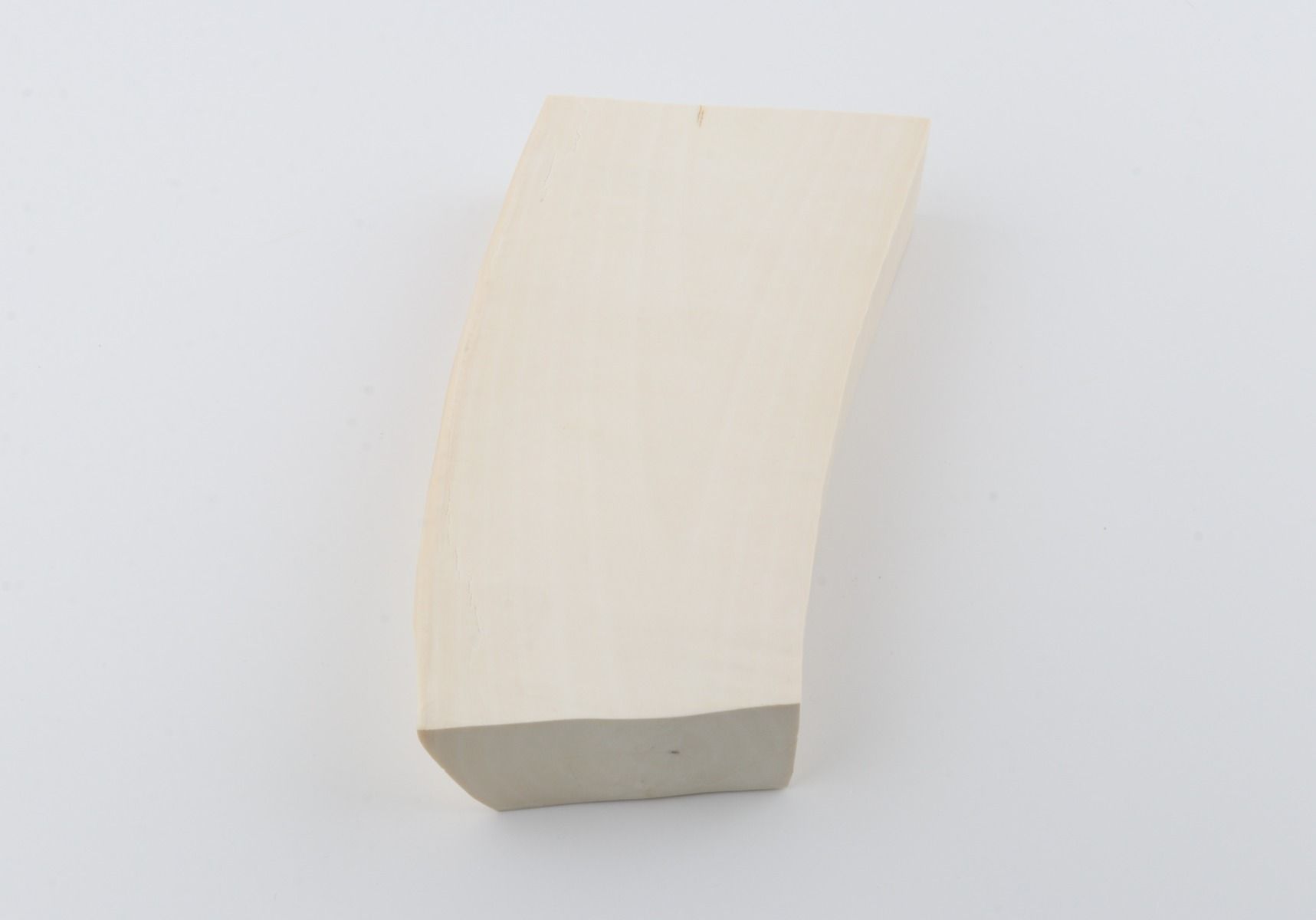 White mammoth ivory segment