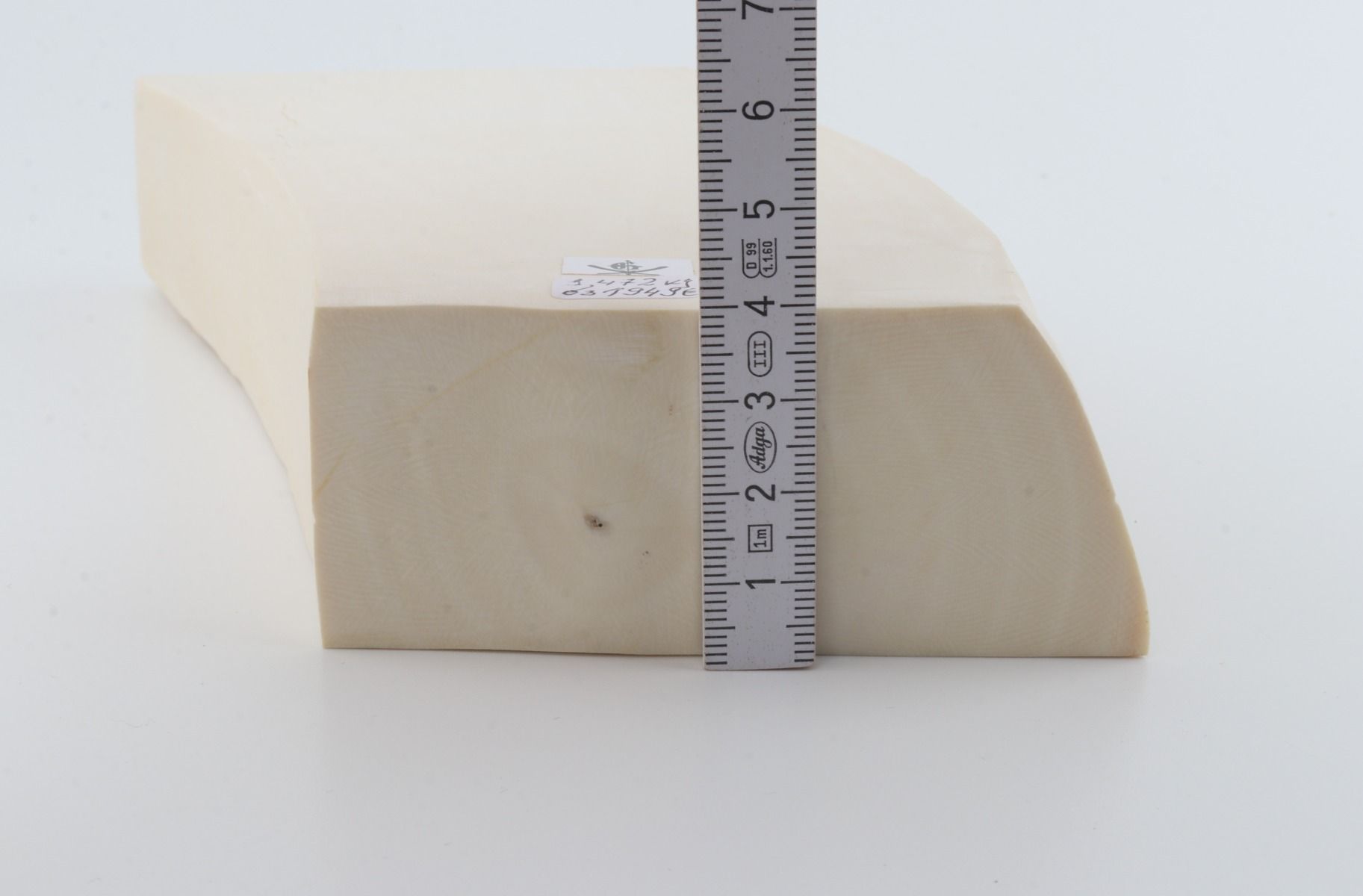 White mammoth ivory segment