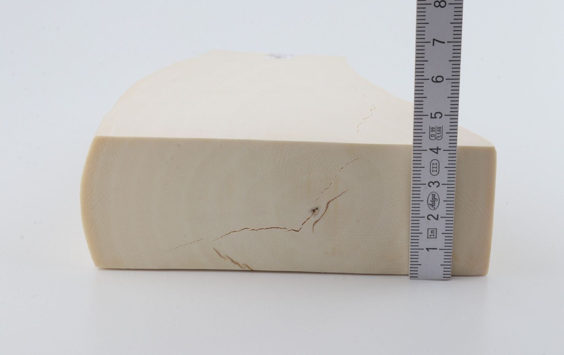 White mammoth ivory segment