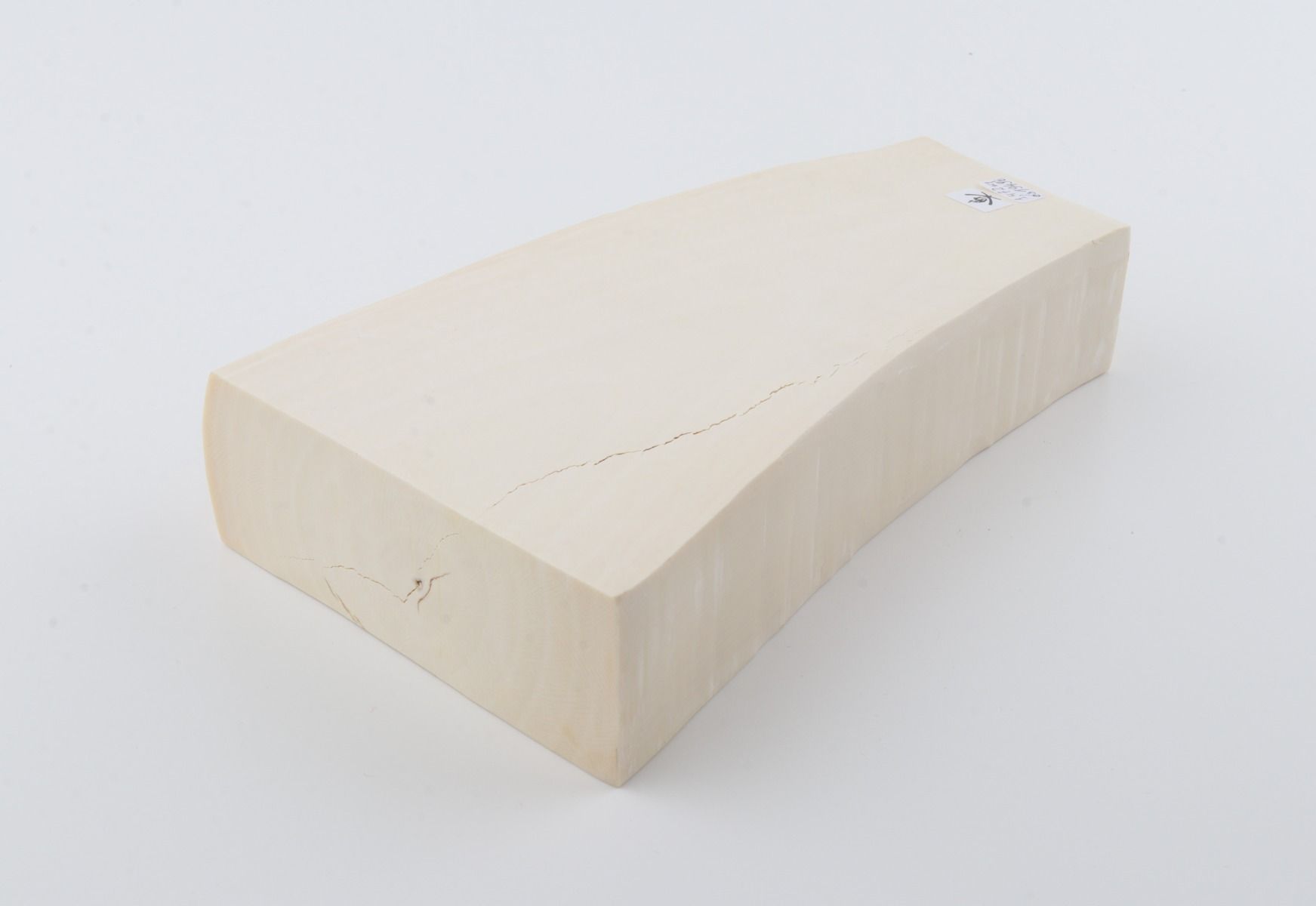 White mammoth ivory segment