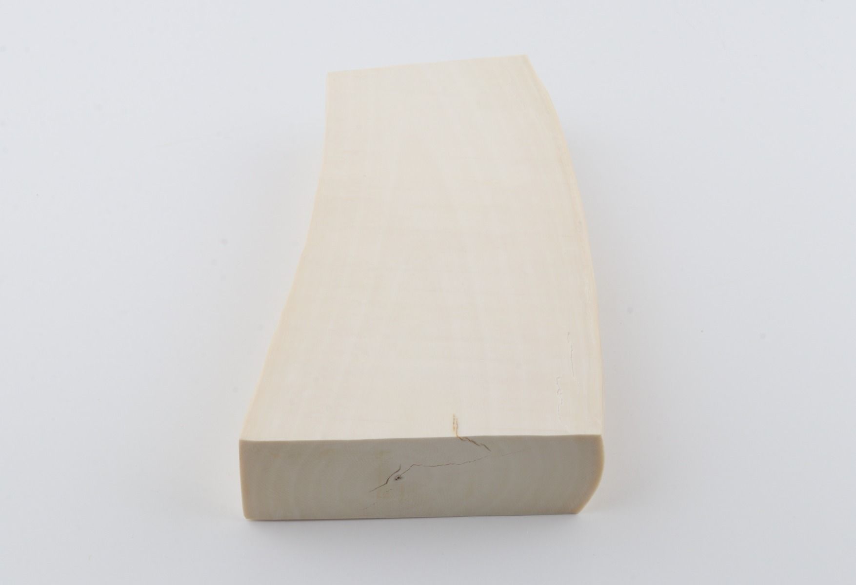 White mammoth ivory segment